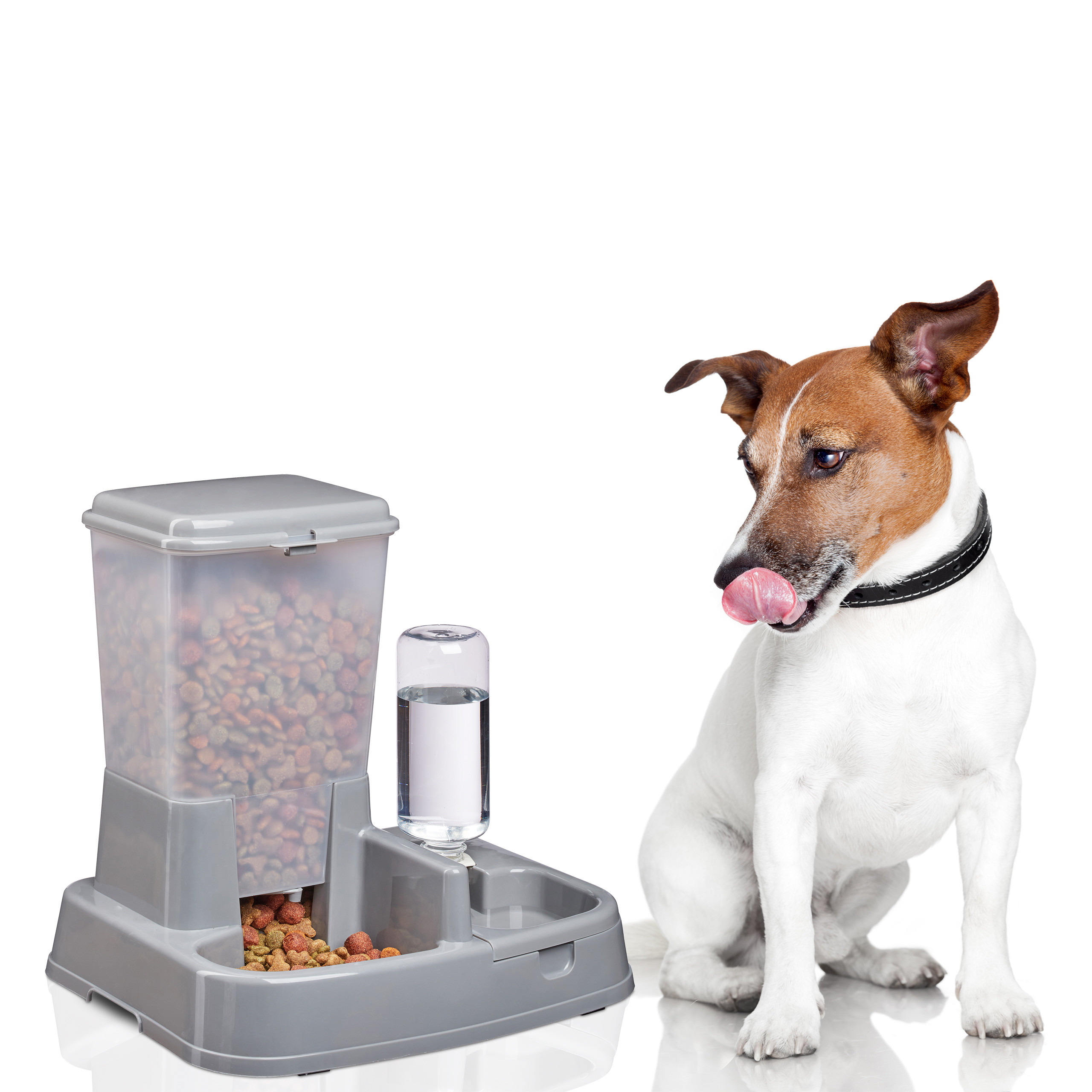 Ein Jack Russell Terrier sitzt glücklich neben einem automatischen Futter- und Wasserspender vor weißem Hintergrund.