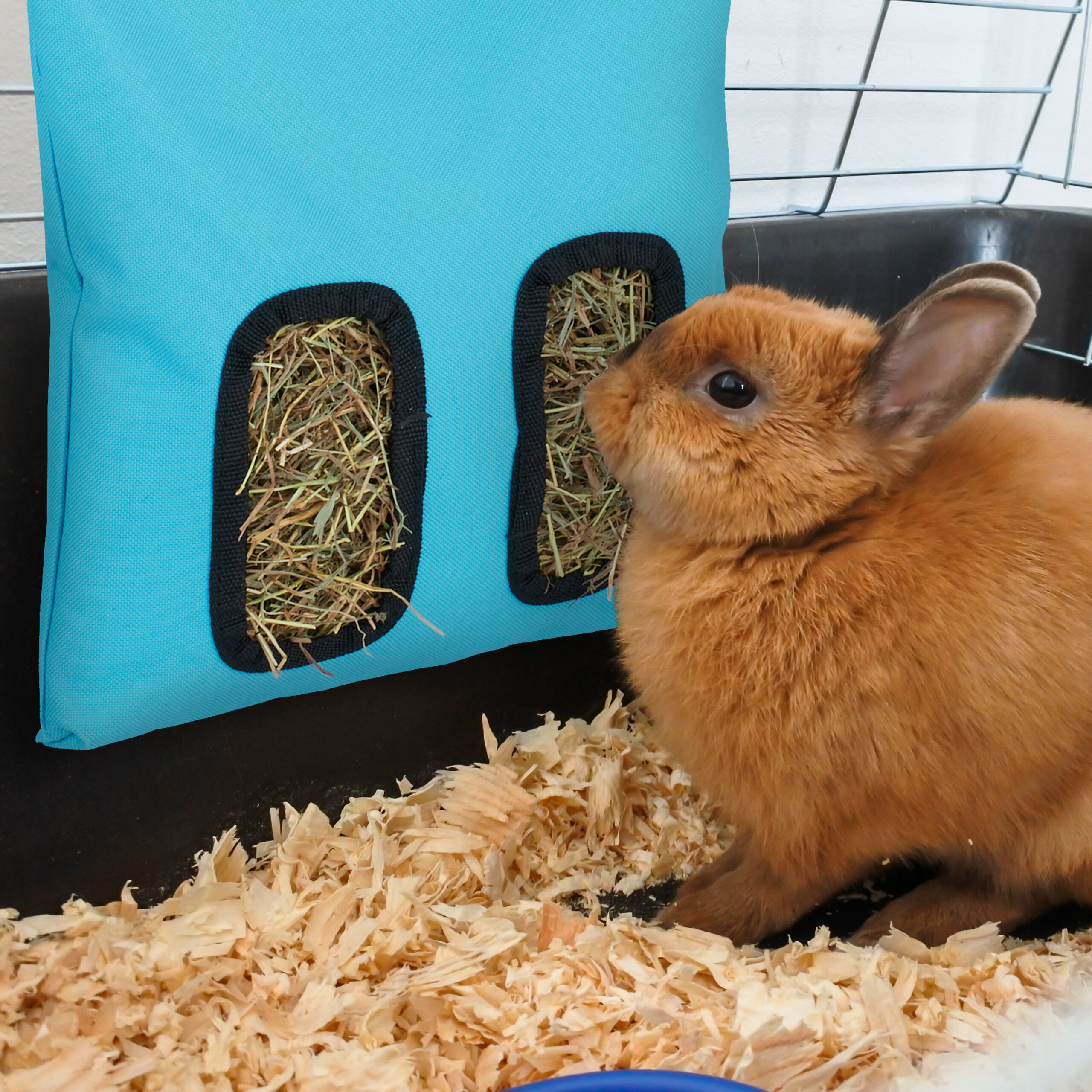 Ein kleines braunes Kaninchen sitzt auf Holzwissen im Käfig und blickt auf eine blaue Heutasche.