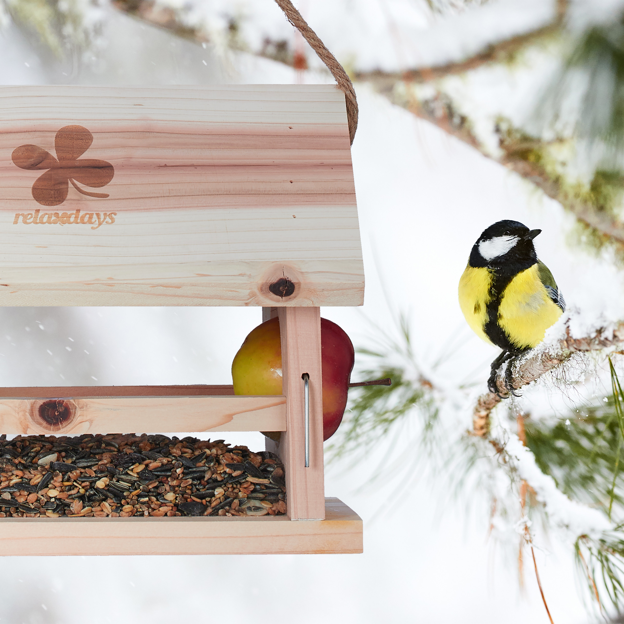 Eine Meise sitzt auf einem schneebedeckten Ast neben einem Holzfutterhäuschen mit Vogelfutter und einem Apfel.