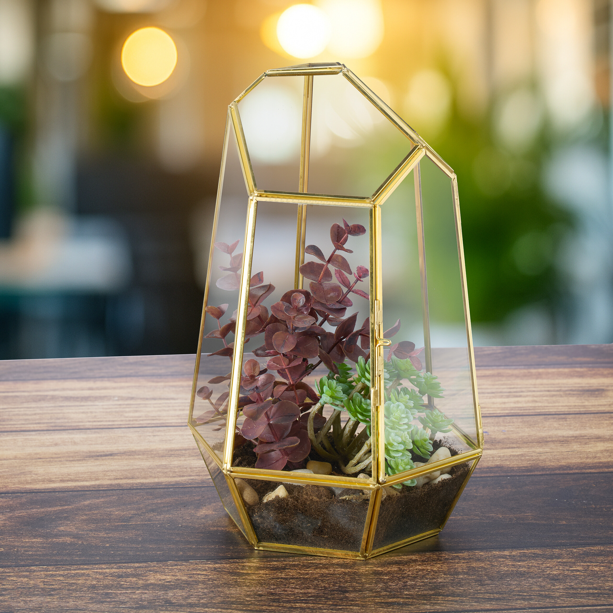 Ein geometrisches Glas-Terrarium mit Messingrahmen auf Holz, enthält rötliche und grüne Pflanzen.