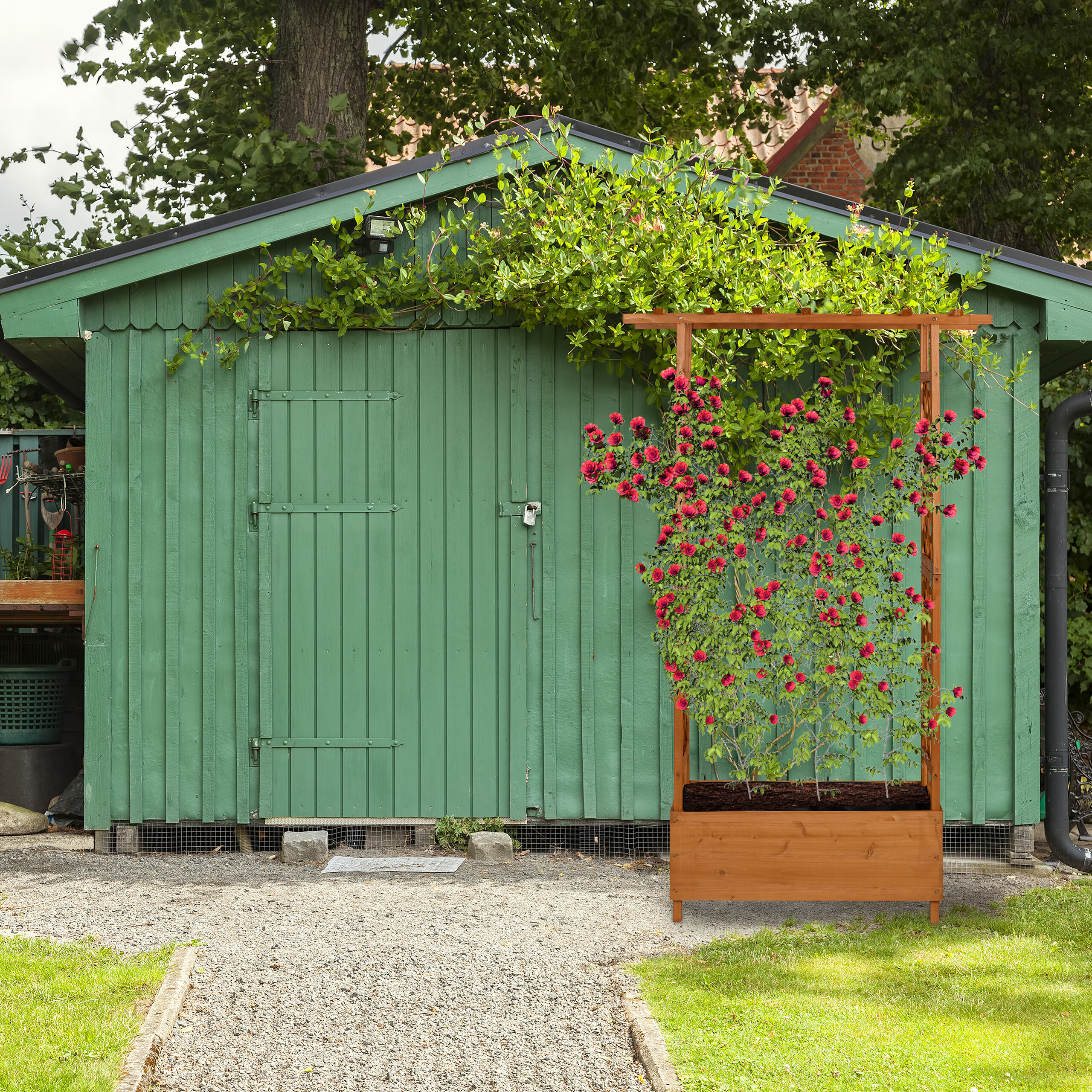 Ein grünes Gartenhaus mit Holzwand, davor steht ein brauner Pflanzkasten mit roten Rosen an einem Spalier.