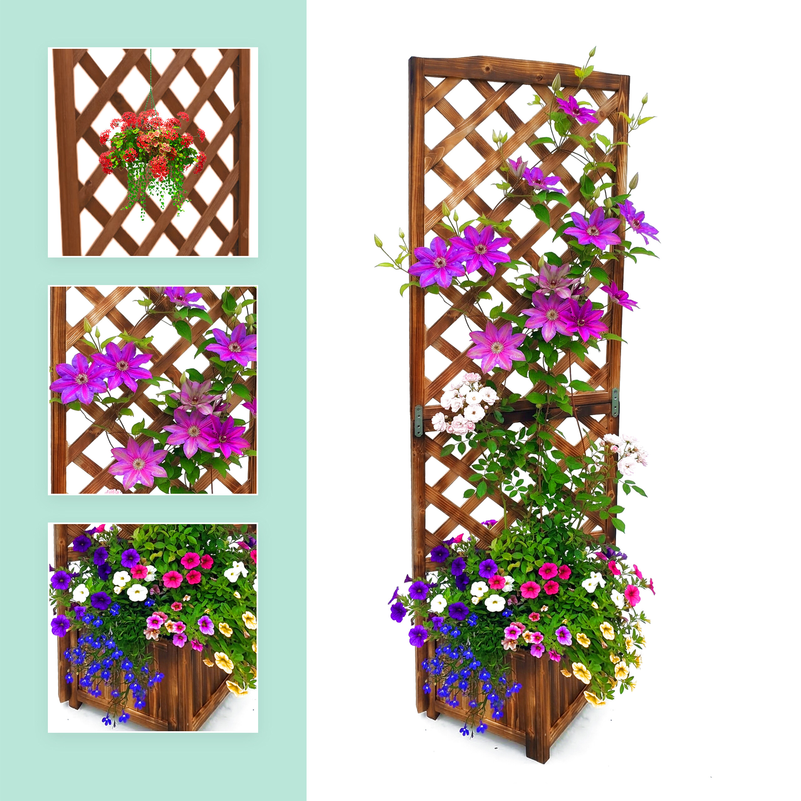 Ein hölzernes Spalier mit lebhaften lila Waldreben, weißen Rosen und bunten Blumen im Basis-Pflanzgefäß.