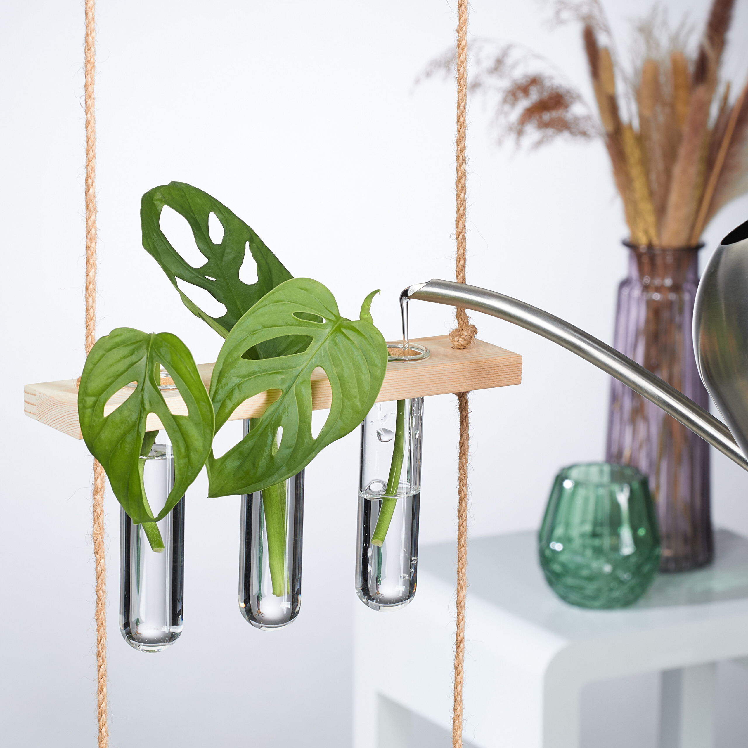 Wasser giesst in Reagenzgläser mit Monstera-Blättern an Holzbrett mit Seilen, im Hintergrund Vasen.