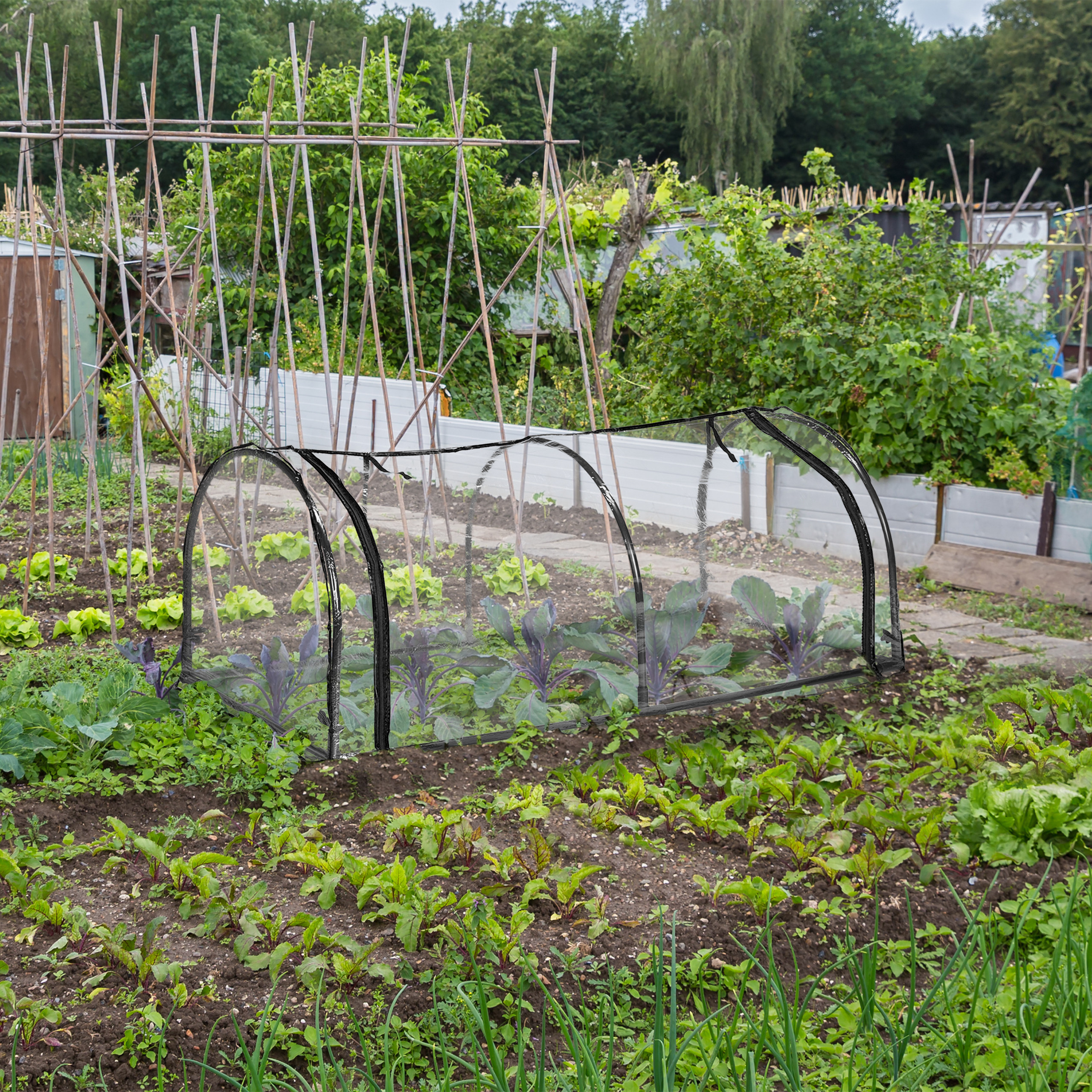 Ein Gemüsegarten mit Jungpflanzen, einer Tunnelabdeckung und Holztiteln im Hintergrund.