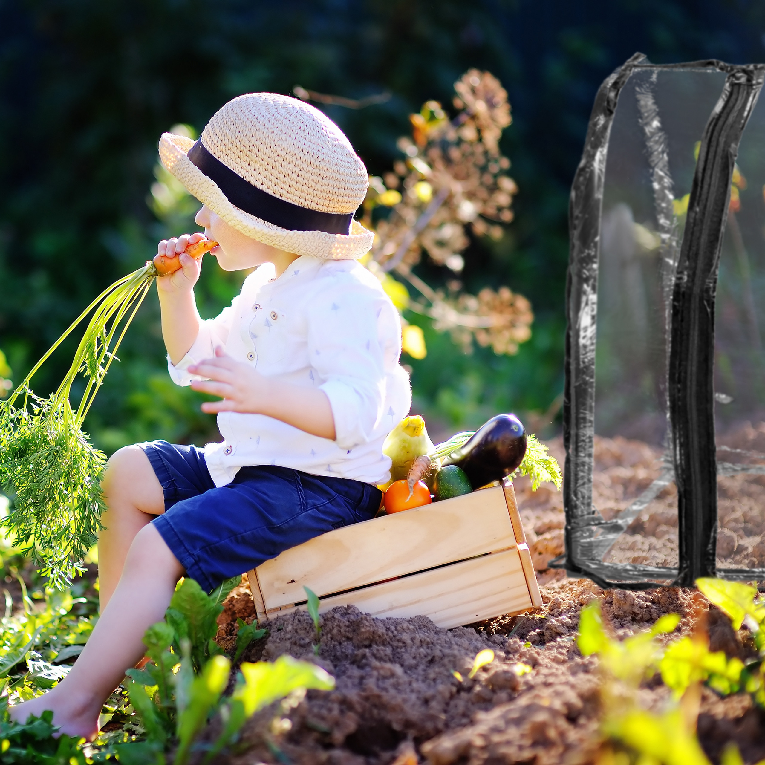 Kleinkind mit Strohhut sitzt im Garten auf einer Kiste und beißt in eine frische Karotte.