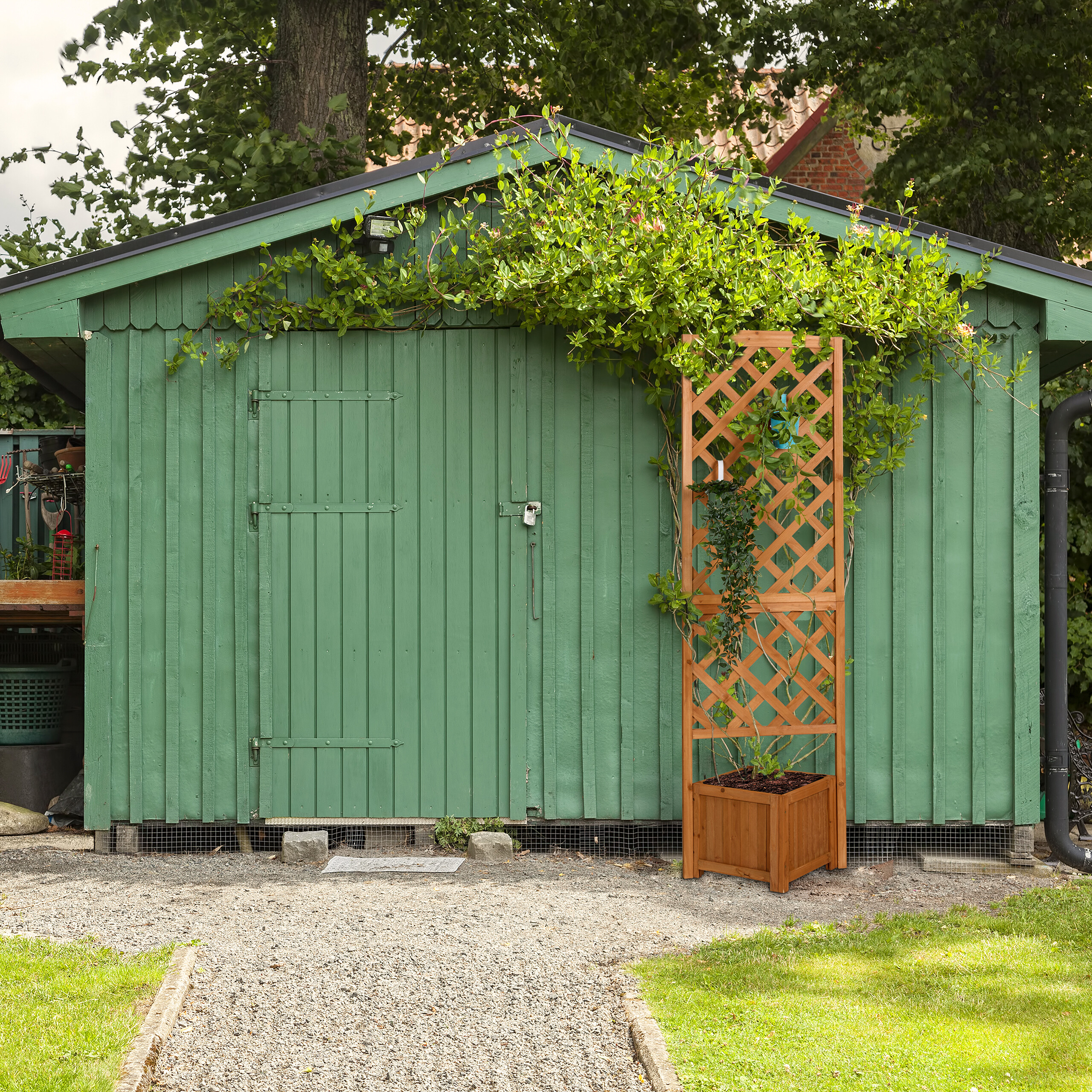 Grüne Gartenhütte mit Holztür, bewachsen mit Pflanzen und einem Holzspalier davor, auf Schotterweg.