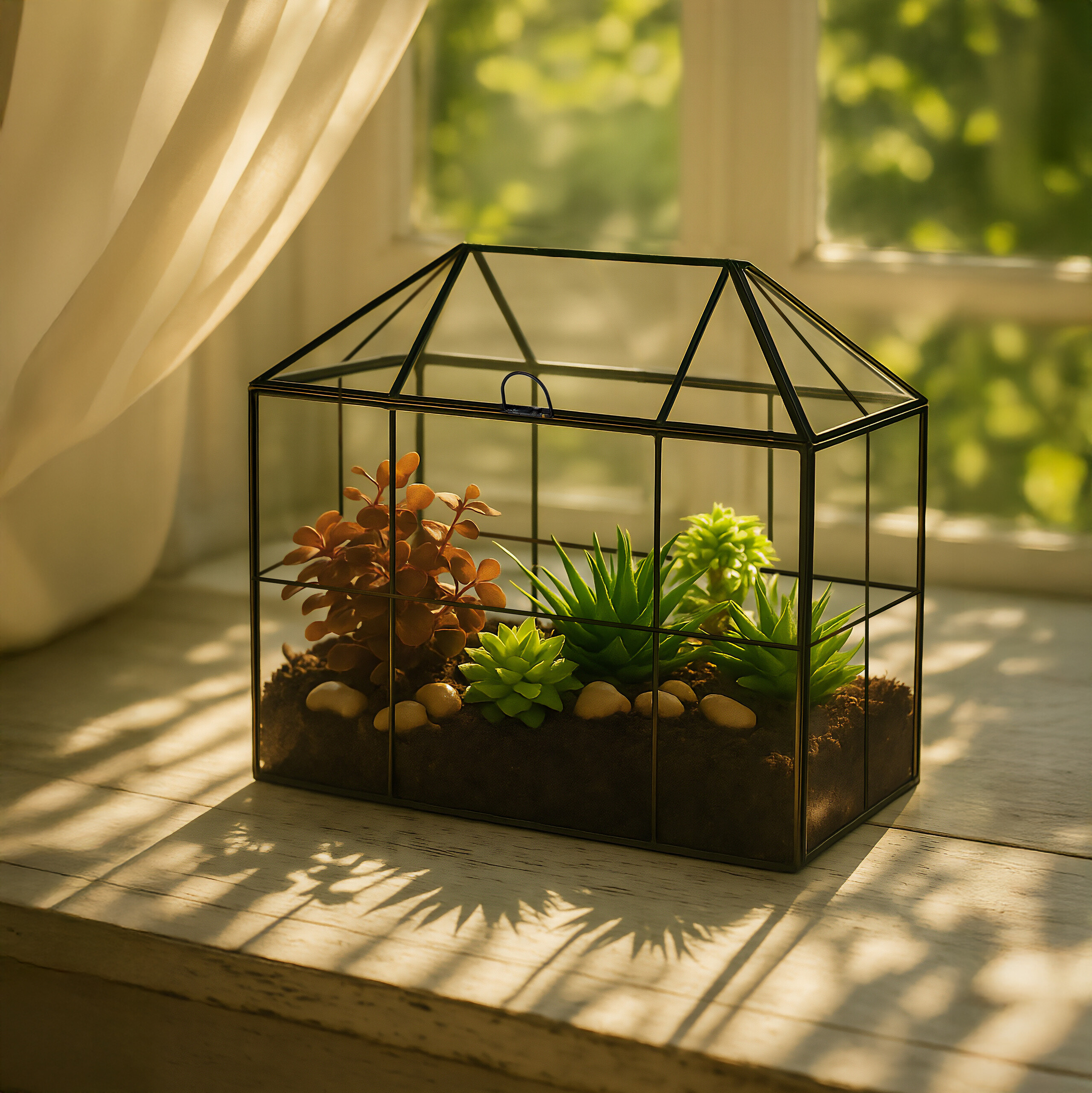 Ein haussicher Glasterrarium mit Sukkulenten steht auf einer sonnigen Fenstersbank neben einem weißen Vorhang.