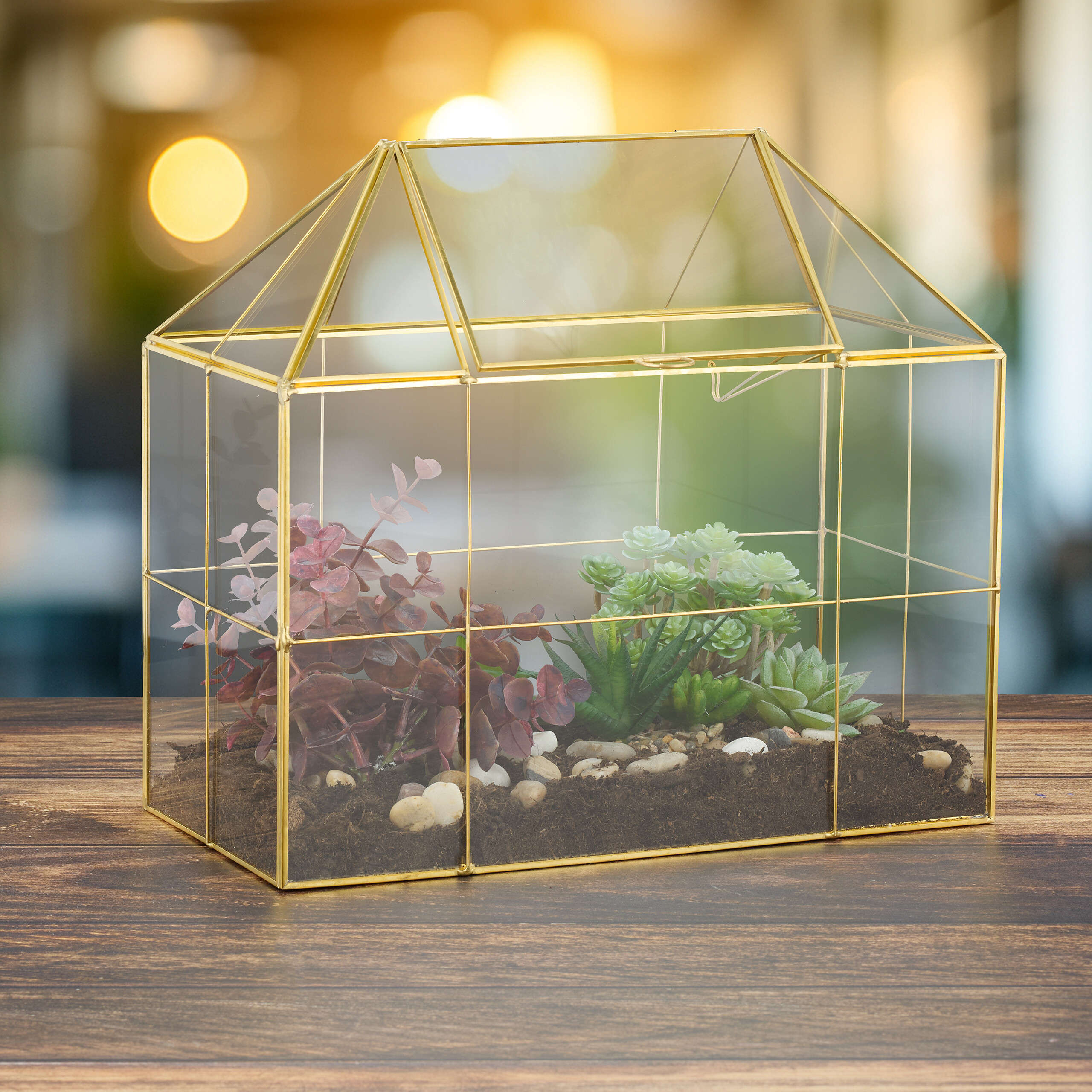 Ein gläsernes Terrarium mit goldenem Rahmen und kleinen Sukkulenten auf einem Holztisch.