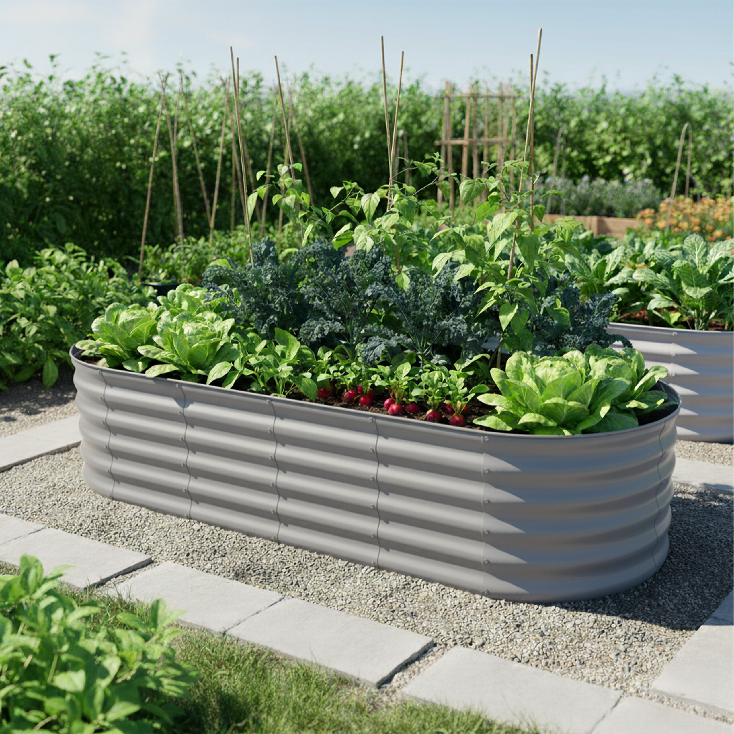 Ein graues Hochbeet im Garten voller frischem Salat, Kohl und roten Radieschen unter blauem Himmel.