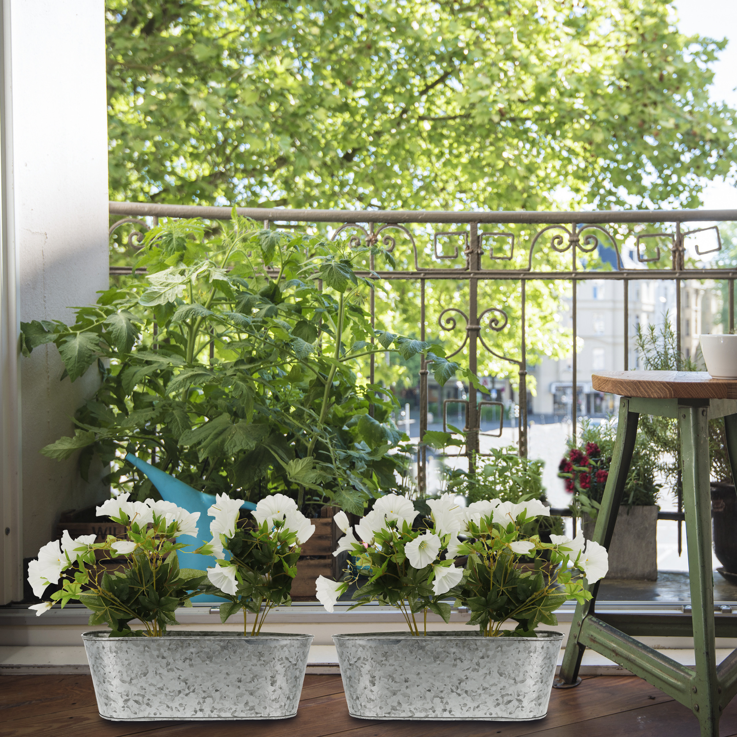 Balkon mit zwei Metallblumenkästen mit weißen Blumen, einer großen Tomatenpflanze und einem grünen Holzschemel.