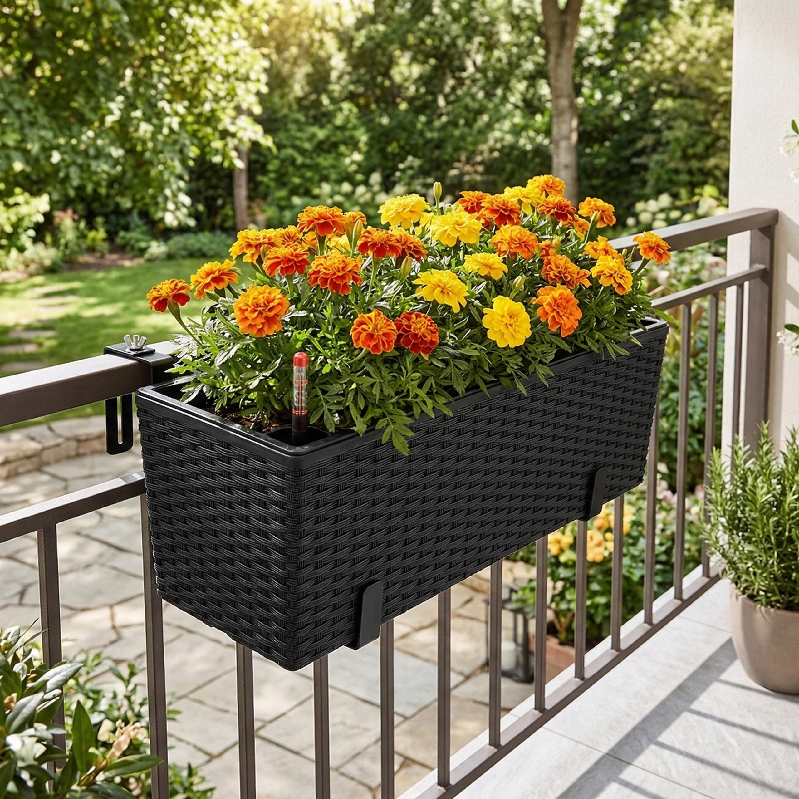Ein schwarzer geflochtener Pflanzkübel mit leuchtend orangen und gelben Tagetes hängt an einem Balkongeländer.