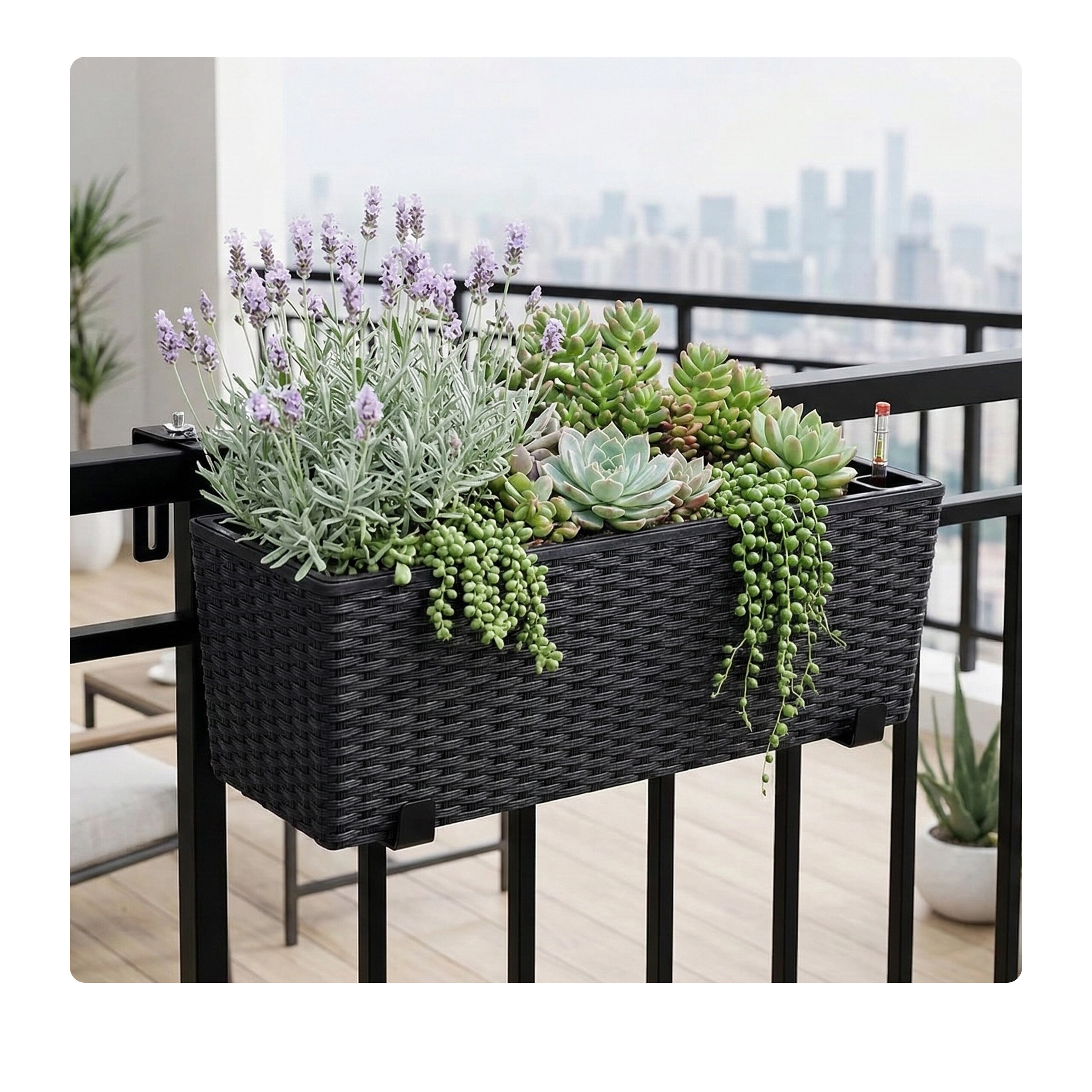 Ein schwarzer Blumenkasten mit Lavendel und Sukkulenten hängt am Balkongeländer vor einer Skyline.