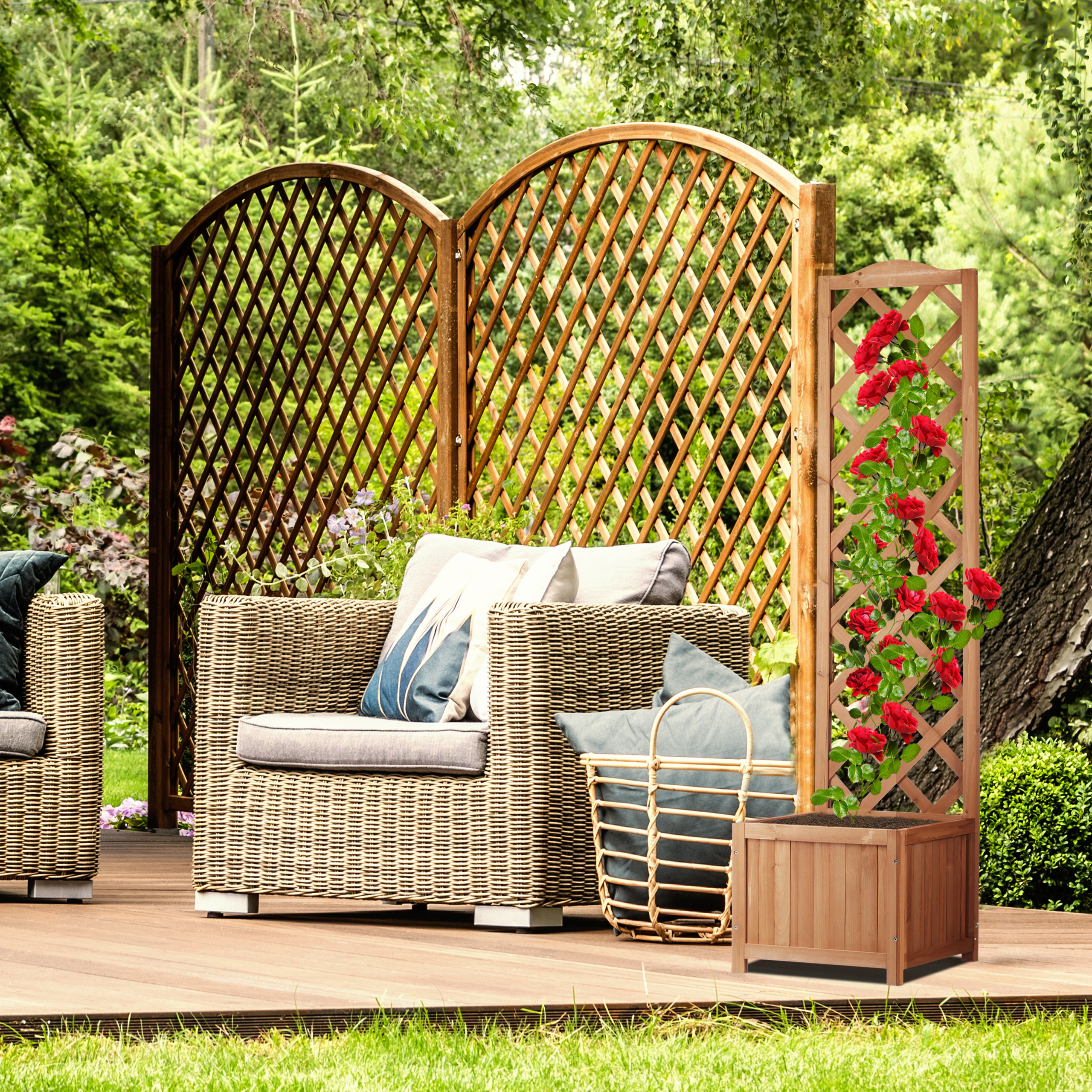 Polyrattan-Sessel und Holzspalier mit roten Kletterrosen auf einer Holzterrasse in einem Garten.