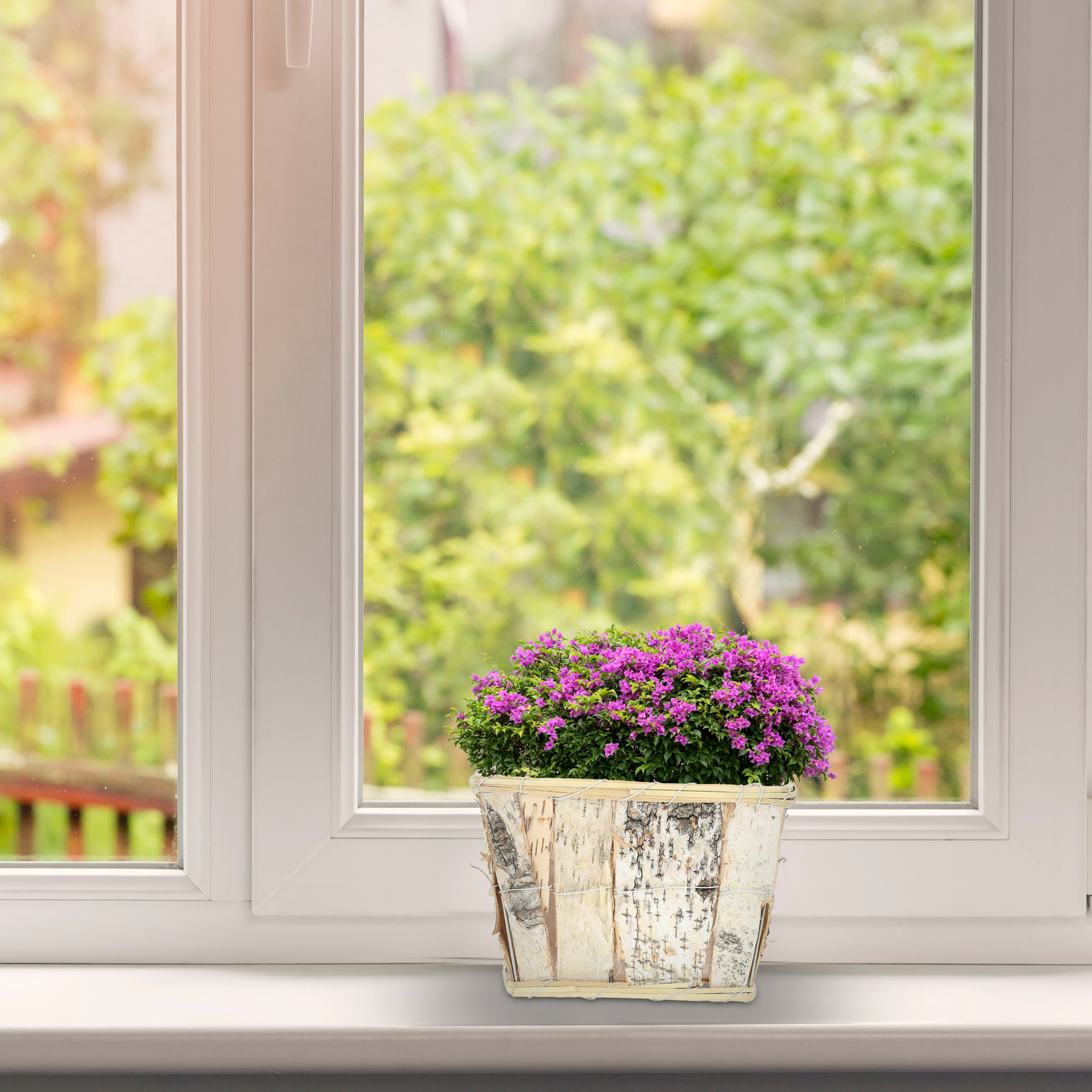 Ein hölzerner Blumenkasten mit leuchtend violetten Blumen steht auf einer weißen Fensterbank vor einem grünen Garten.