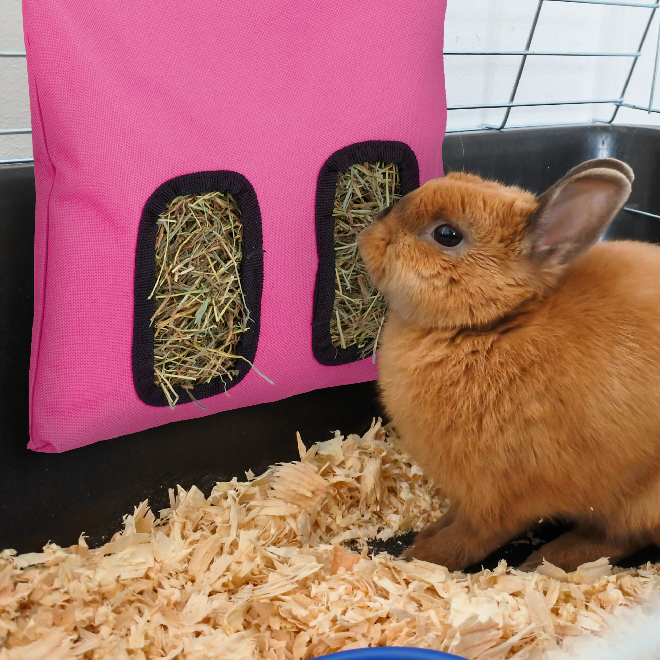 Ein süßes braunes Kaninchen sitzt auf Holzwolle in einem Käfig und blickt zu einer rosa Heutasche auf.