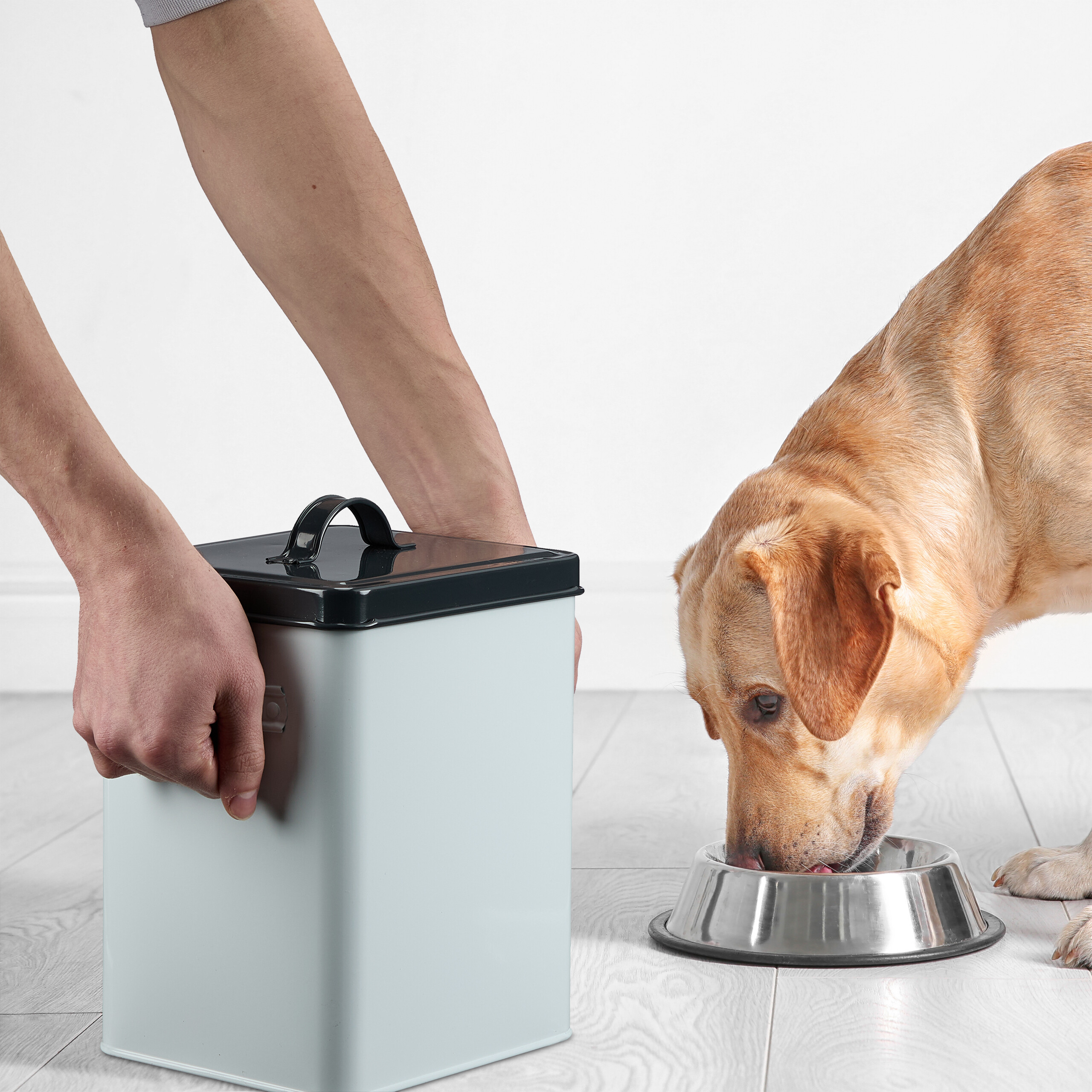 Eine Person hält einen hellblauen Futterbehälter, während ein goldener Hund aus einer Silberschüssel frisst.