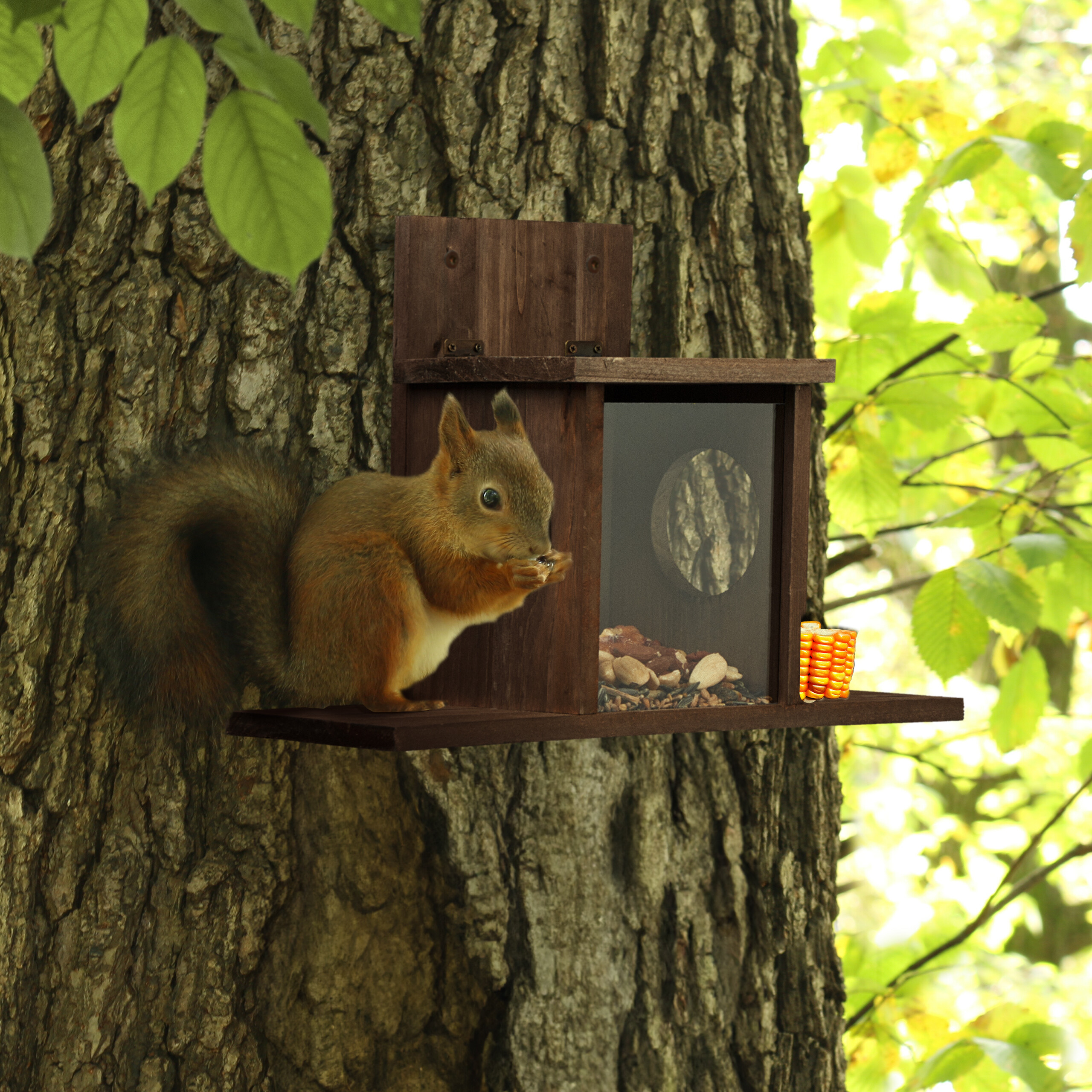Ein rotes Eichhörnchen sitzt an einem hölzernen Futterhäuschen an einem Baum und frisst Samen.