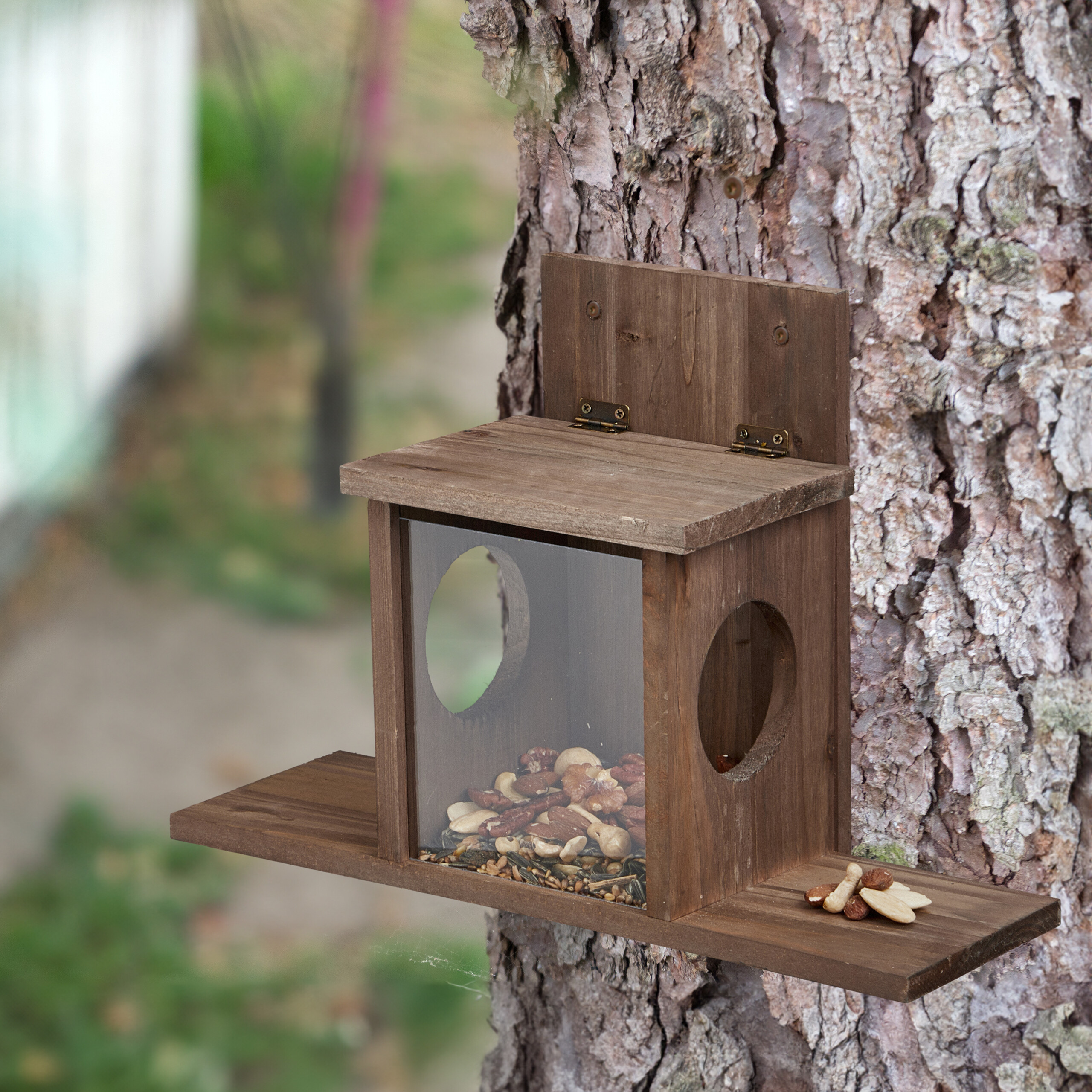 Ein hölzernes Vogelhäuschen mit Fenstern ist an der Rinde eines Baumes befestigt und enthält Nüsse.