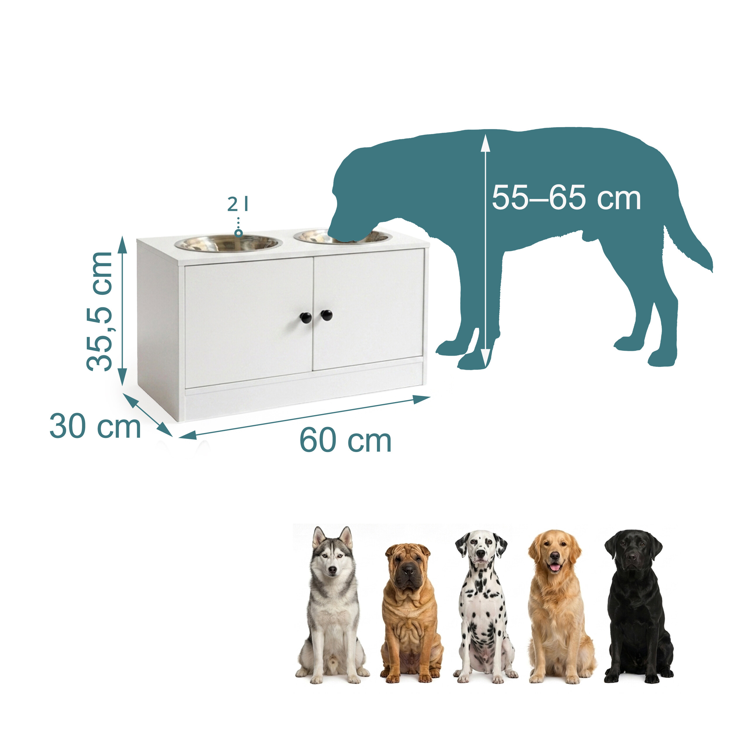 Weiße Hunde-Futterstation mit Maßen, einer Hündersilhouette und fünf Hunderassen-Beispielen.