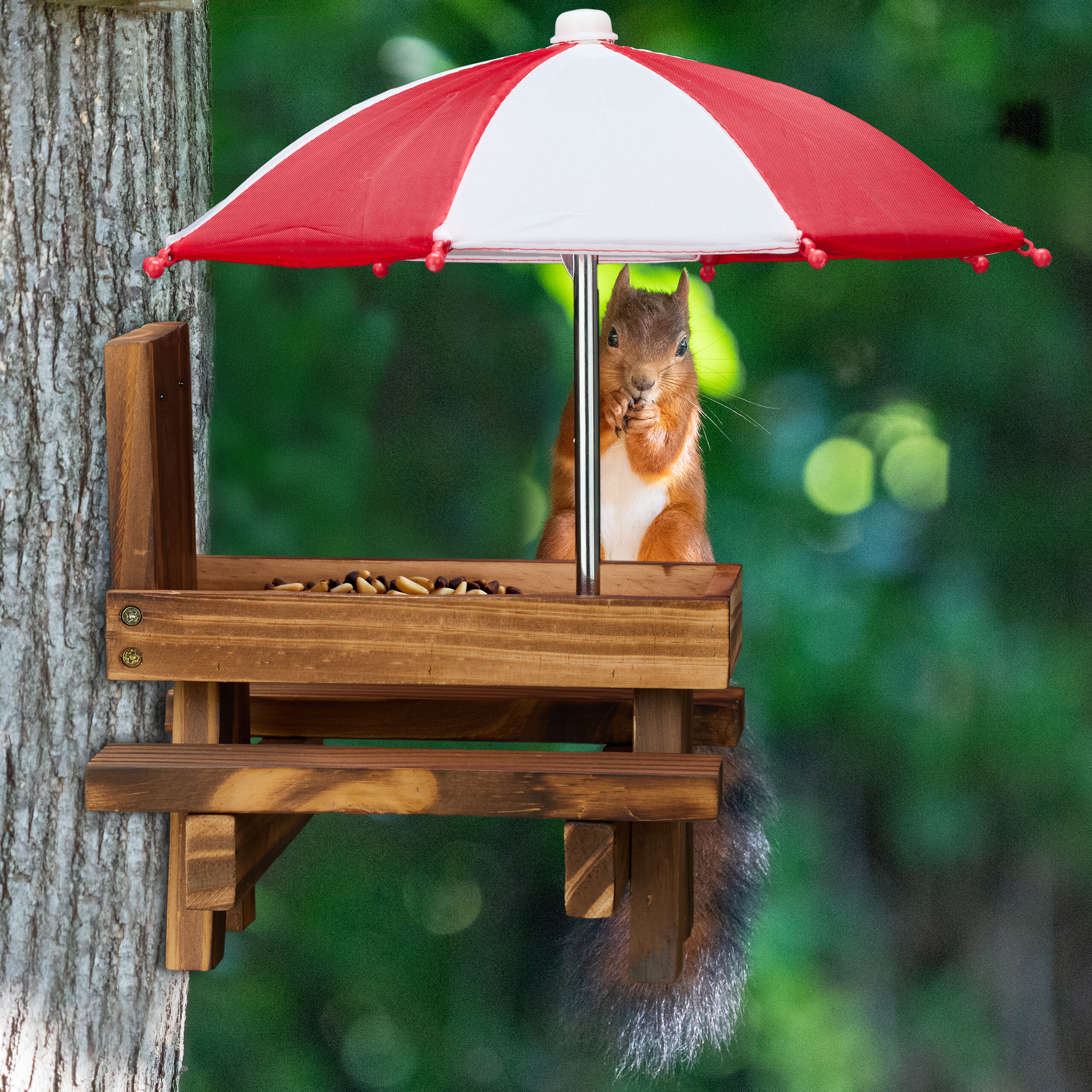 Ein Eichhörnchen sitzt an einem hölzernen Picknicktisch für Vögel unter einem rot-weißen Sonnenschirm.