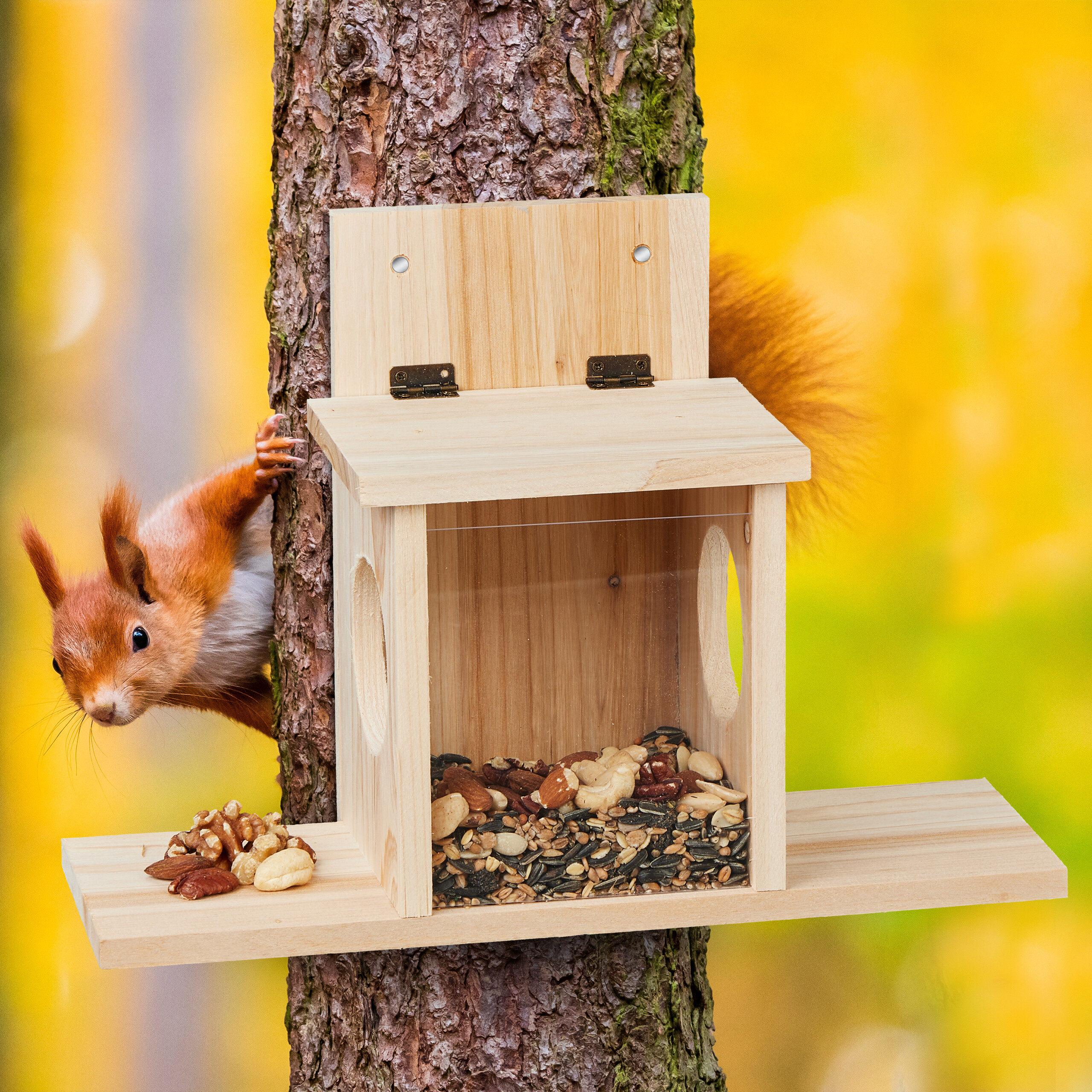 Ein rotes Eichhörnchen lugt neben einem hölzernen Futterhaus voller Nüsse an einem Baum hervor vor gelbem Hintergrund.