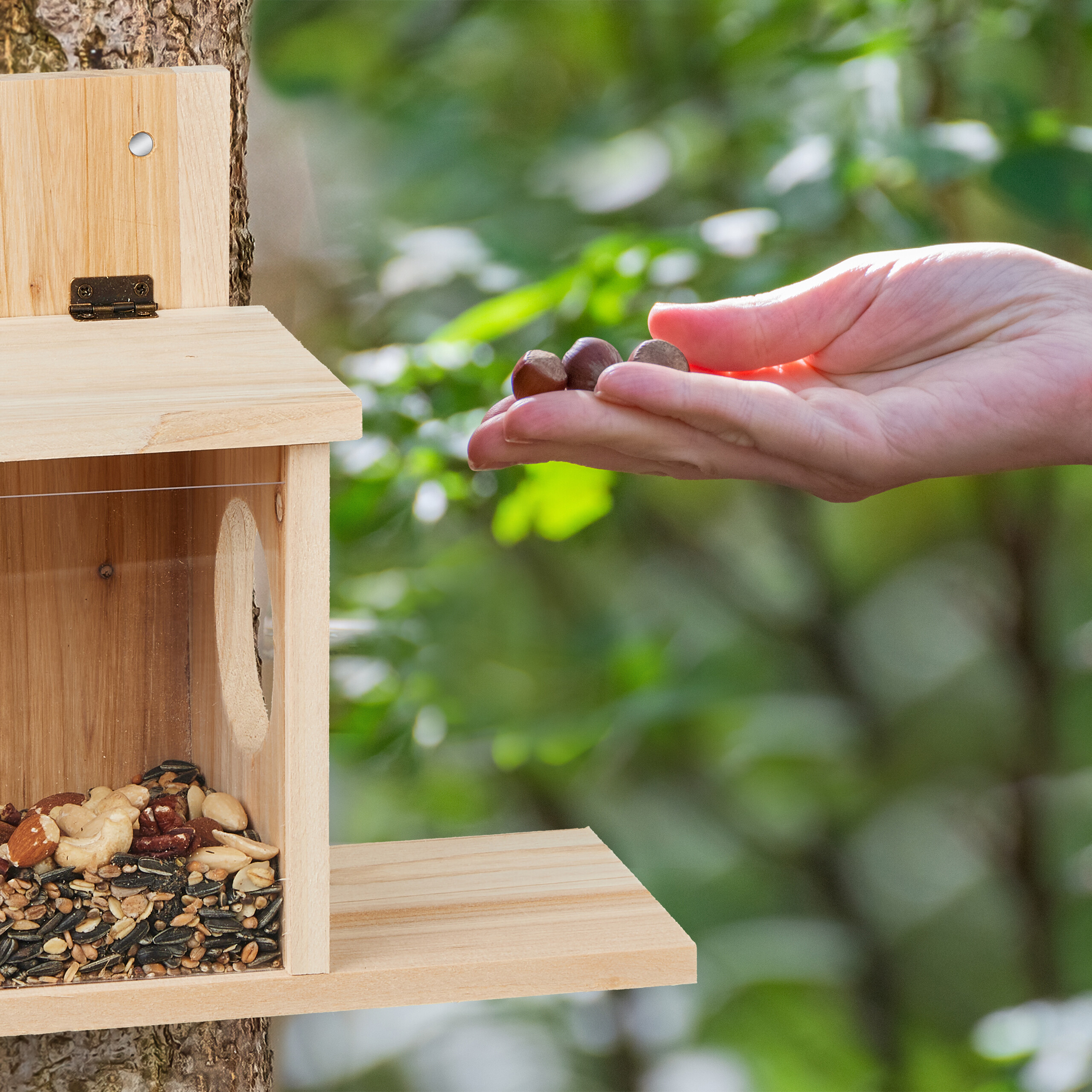Eine Hand hält Haselnüsse neben einem hölzernen Vogelhäuschen mit gemischten Samen im Wald.