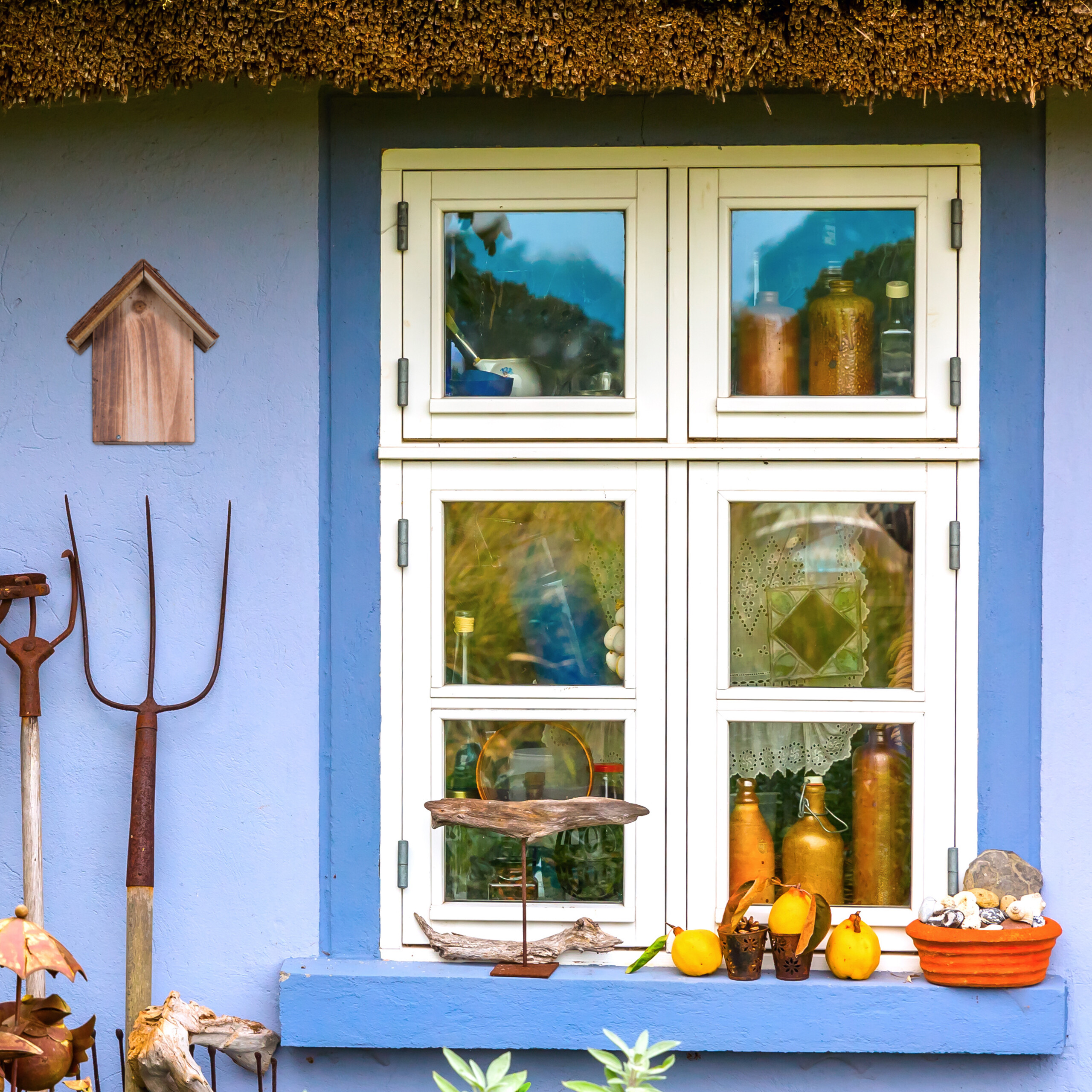Blaue Hauswand mit weißem Fenster, mit Flaschen gefüllt, mit einer Mistgabel und Kürbissen.
