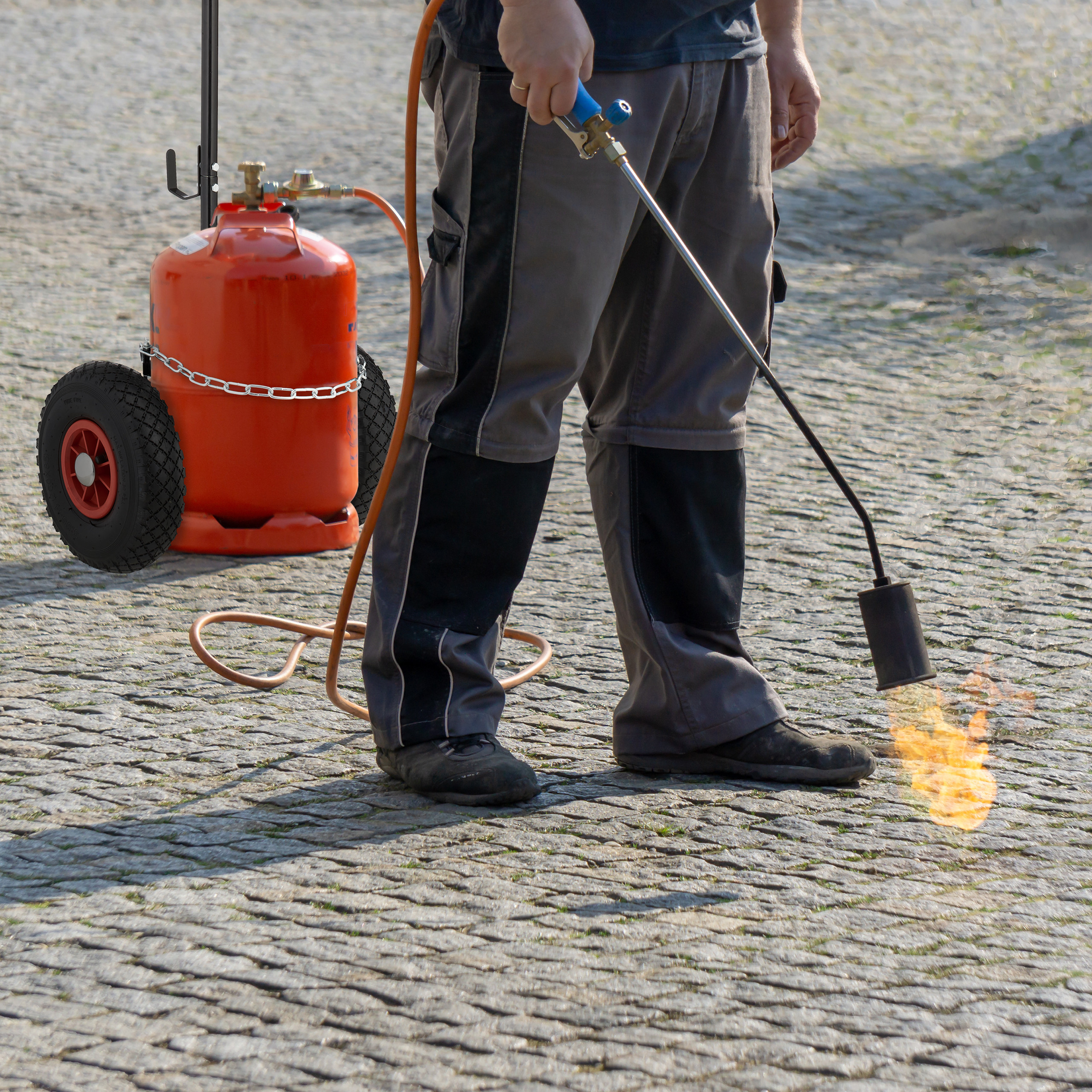 Eine Person brennt Unkraut auf Pflastersteinen mit einem Gasbrenner ab, der an einen roten Tank angeschlossen ist.