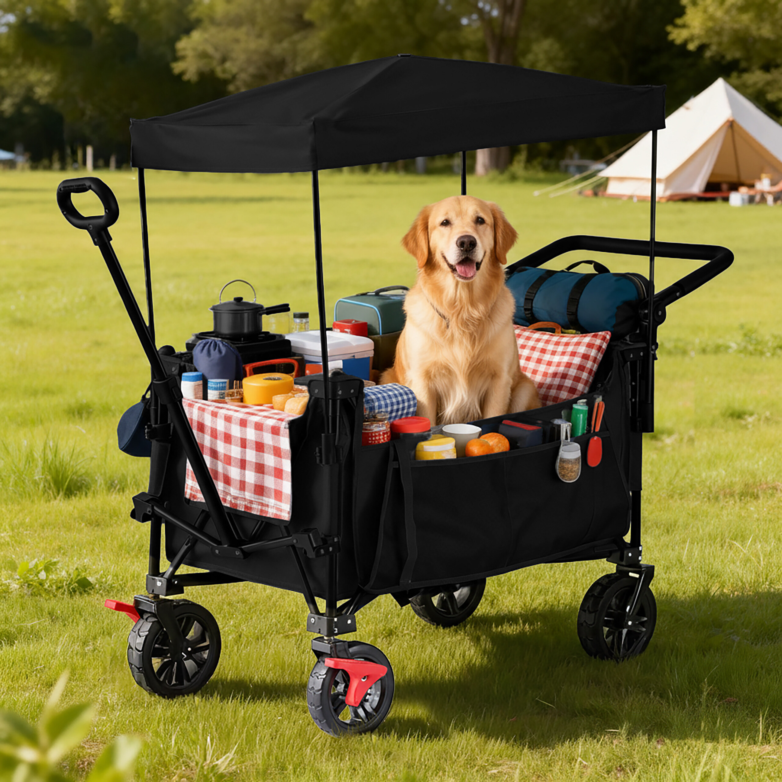 Ein glücklicher Golden Retriever sitzt in einem schwarzen Bollerwagen voller Campingausrüstung und einem Zelt im Hintergrund.