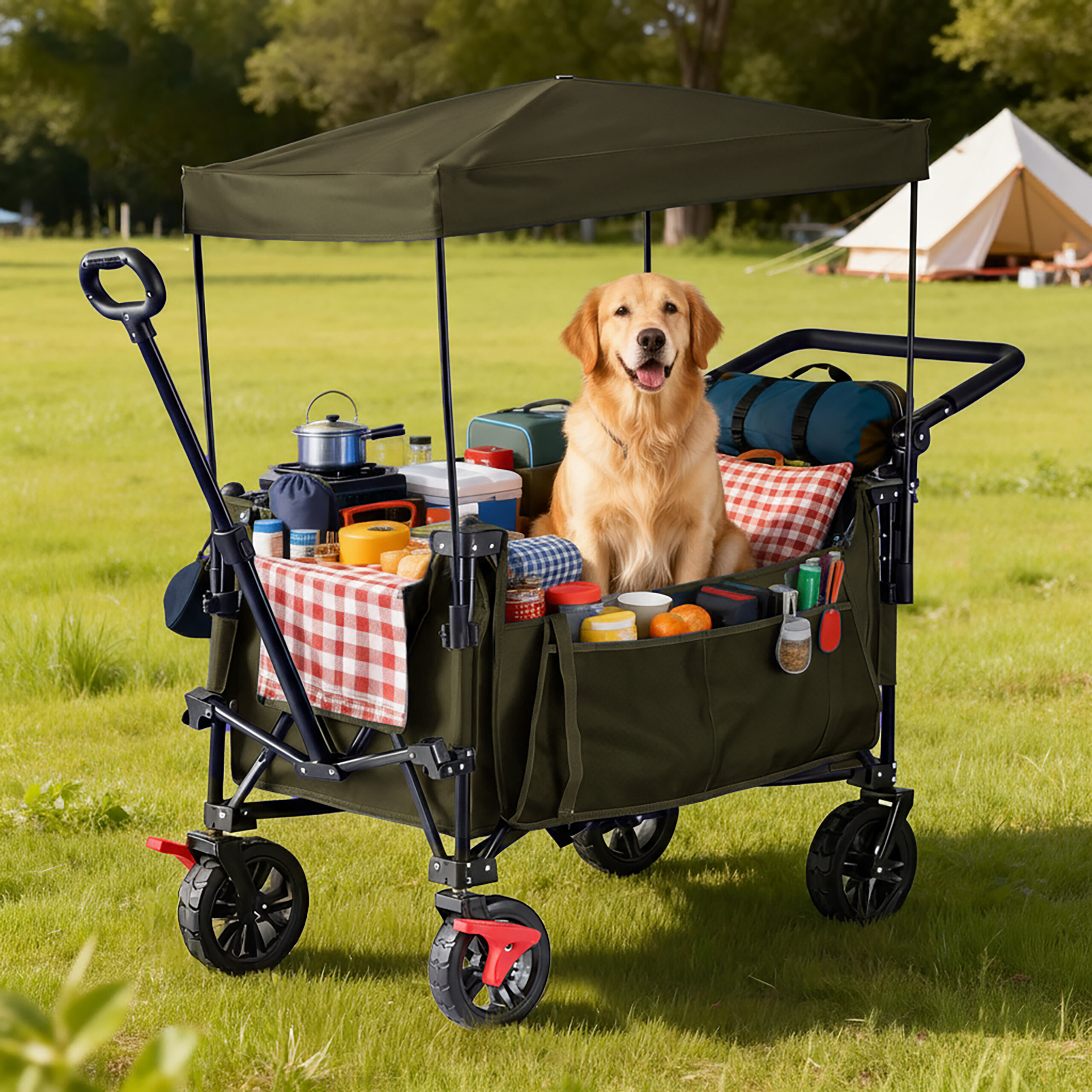 Ein Golden Retriever sitzt glücklich in einem grünen Bollerwagen voller Campingausrüstung und Proviant auf einer Wiese.