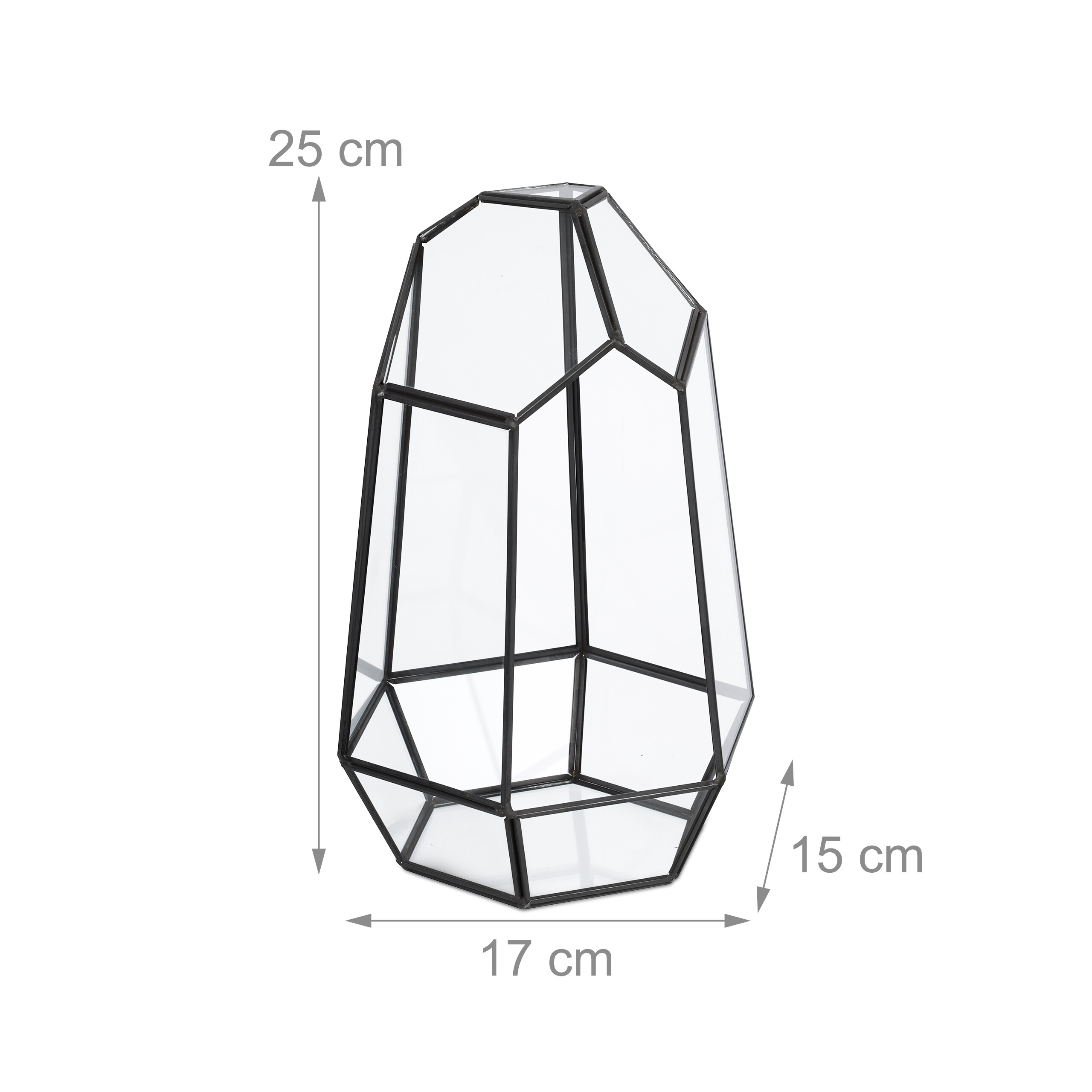 Geometrisches Glas-Terrarium mit schwarzem Metallrahmen und Abmessungen von 25x17x15 cm.