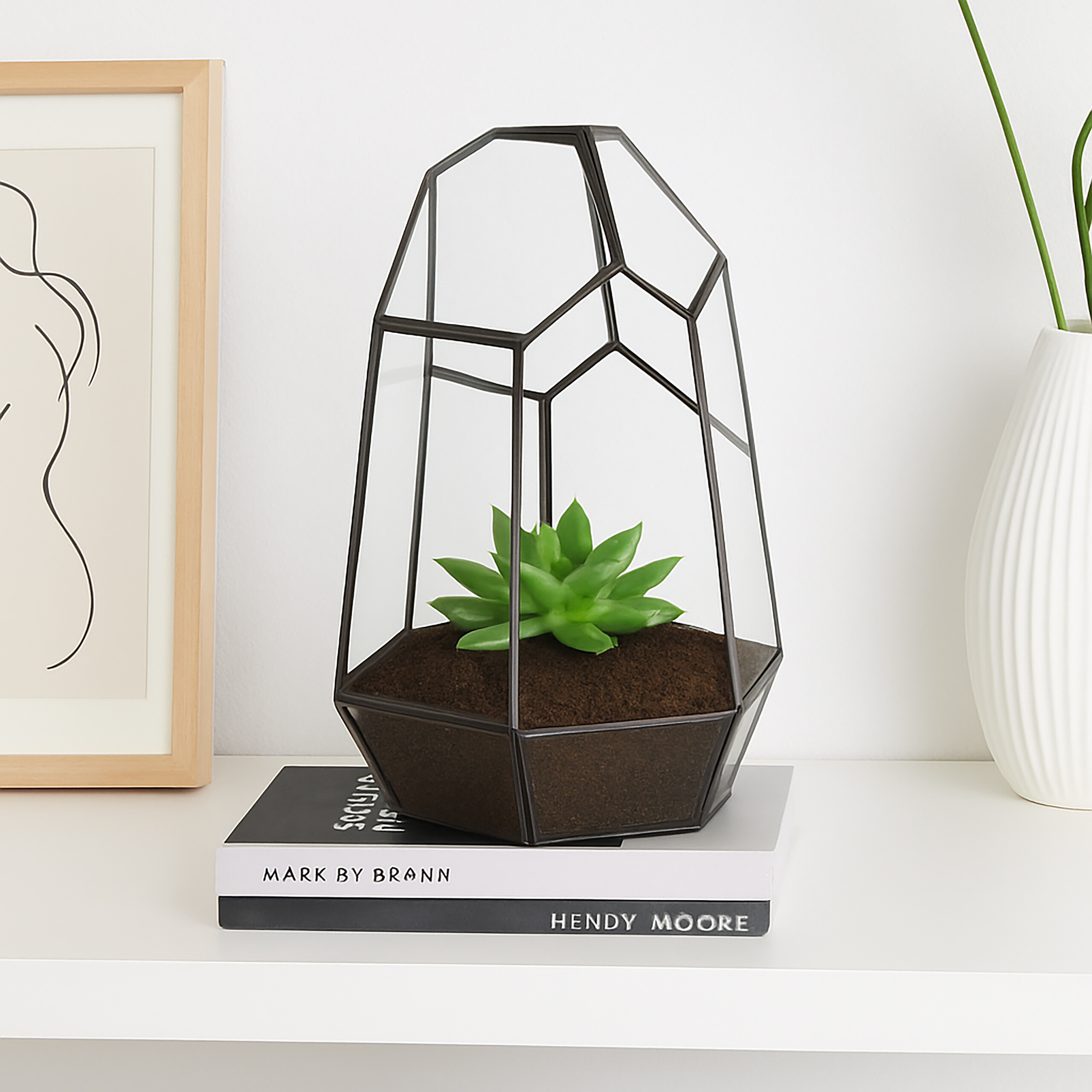 Eine kleine grüne Sukkulente in einem geometrischen Glasterrarium auf gestapelten Büchern.