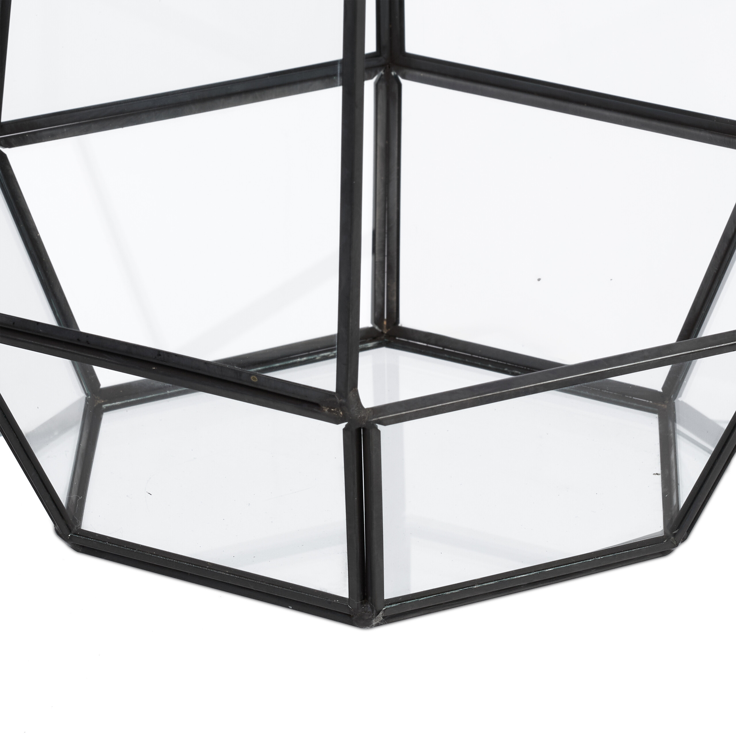 Ein schwarzer Metallrahmen mit Glasscheiben bildet ein geometrisches, hexagonales Terrarium vor weißem Hintergrund.
