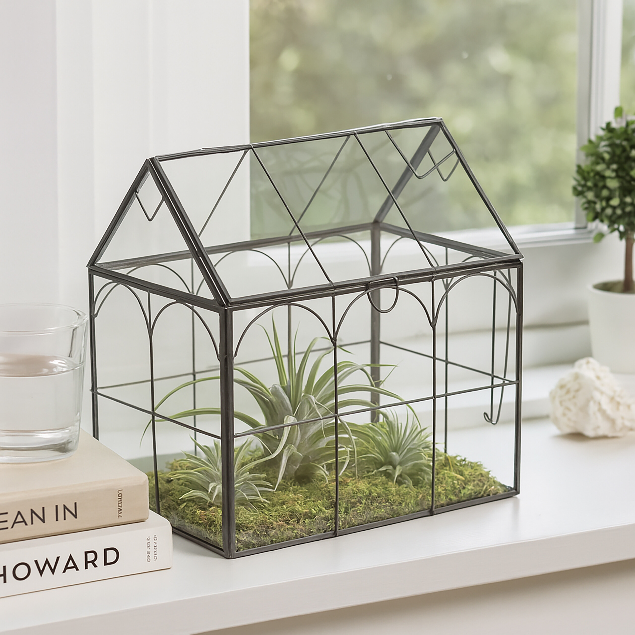 Ein gläsernes Terrarium-Haus mit Luftpflanzen und Moos auf einer Fensterbank neben Büchern.