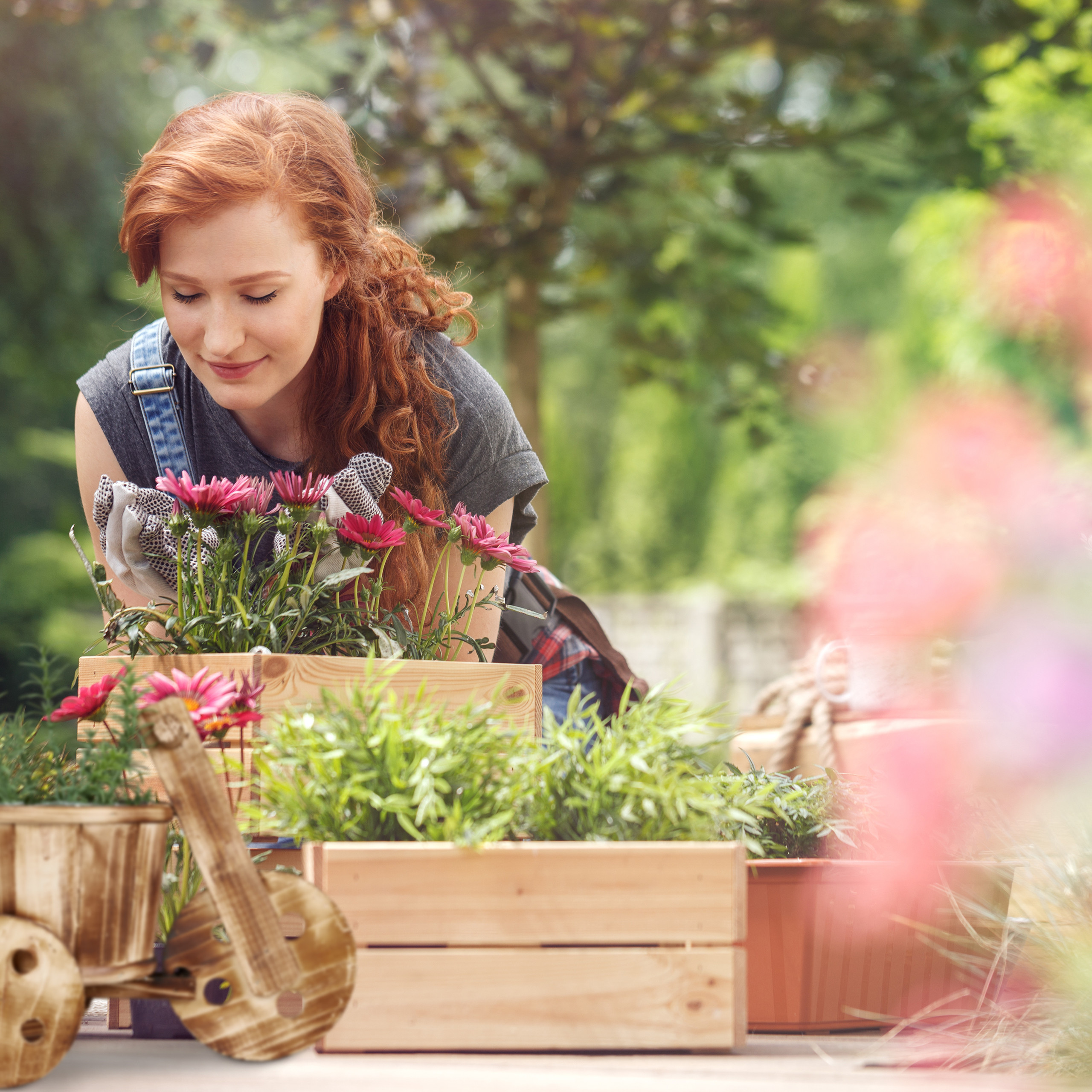 Rotschöpfige Frau pflanzt Blumen in Holzkisten im sonnigen Garten.