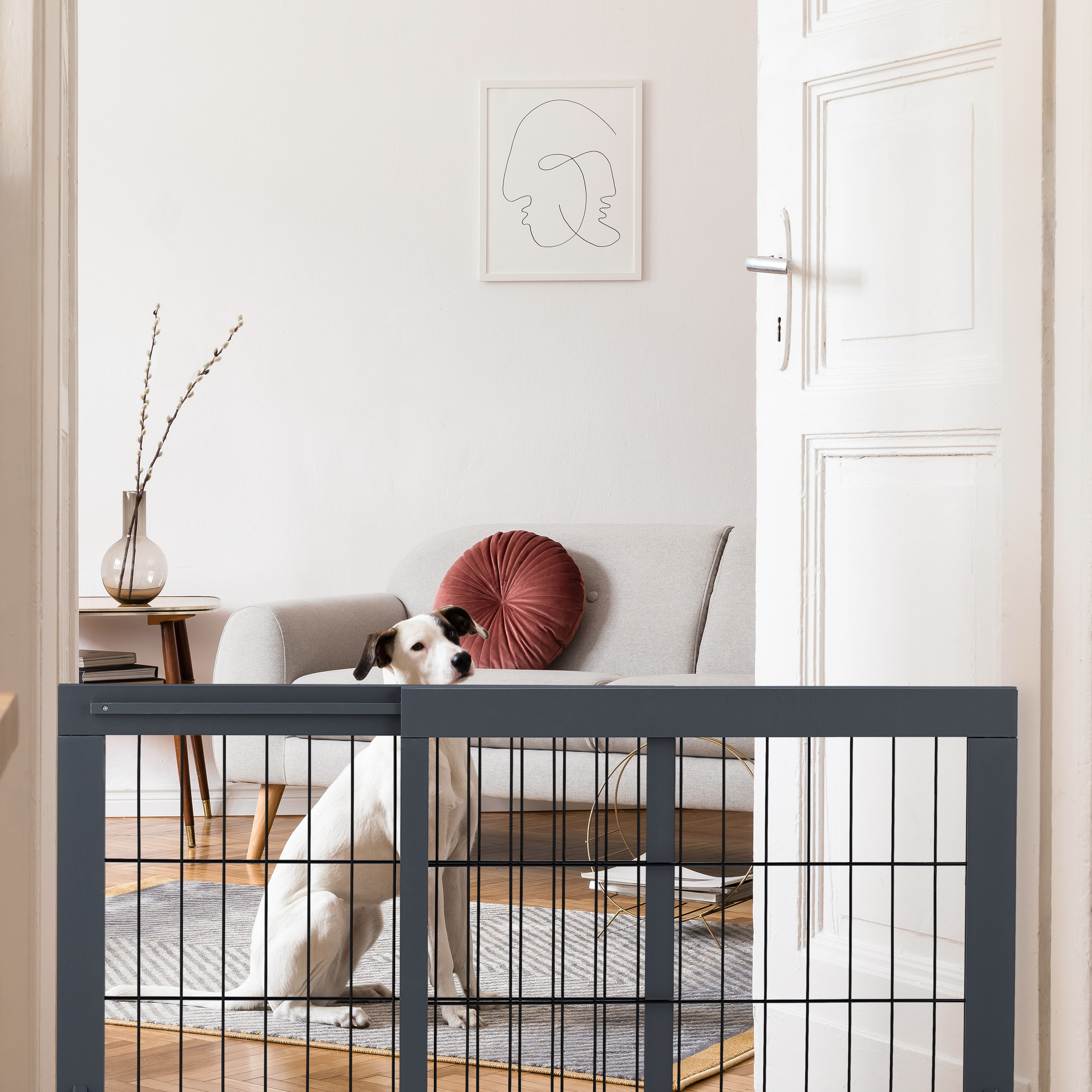 Ein weißer Hund sitzt hinter einem grauen Schutzgitter in einem hellen, modernen Wohnzimmer mit Sofa und Bild.