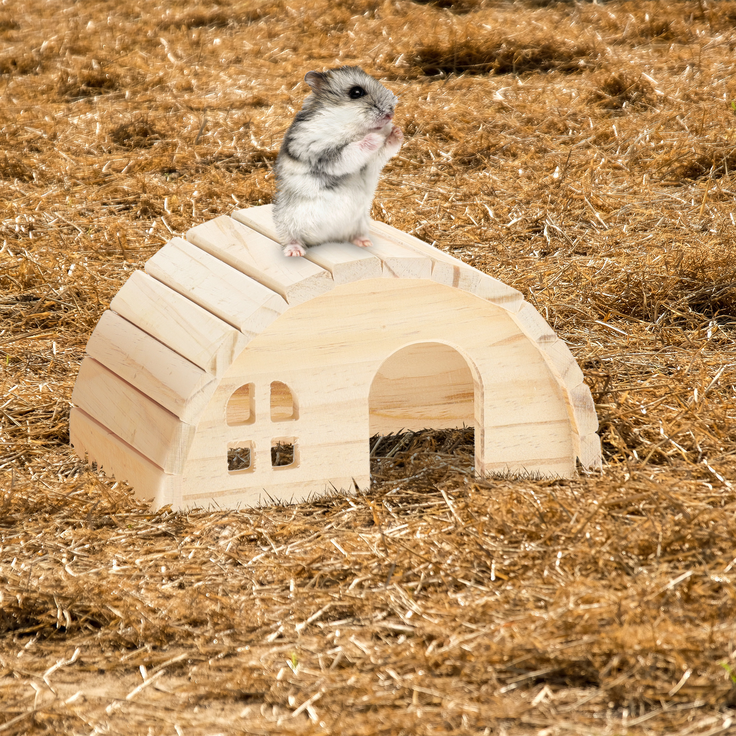 Ein kleiner grau-weißer Hamster steht auf einem hölzernen Spielzeughaus auf trockenem Gras.