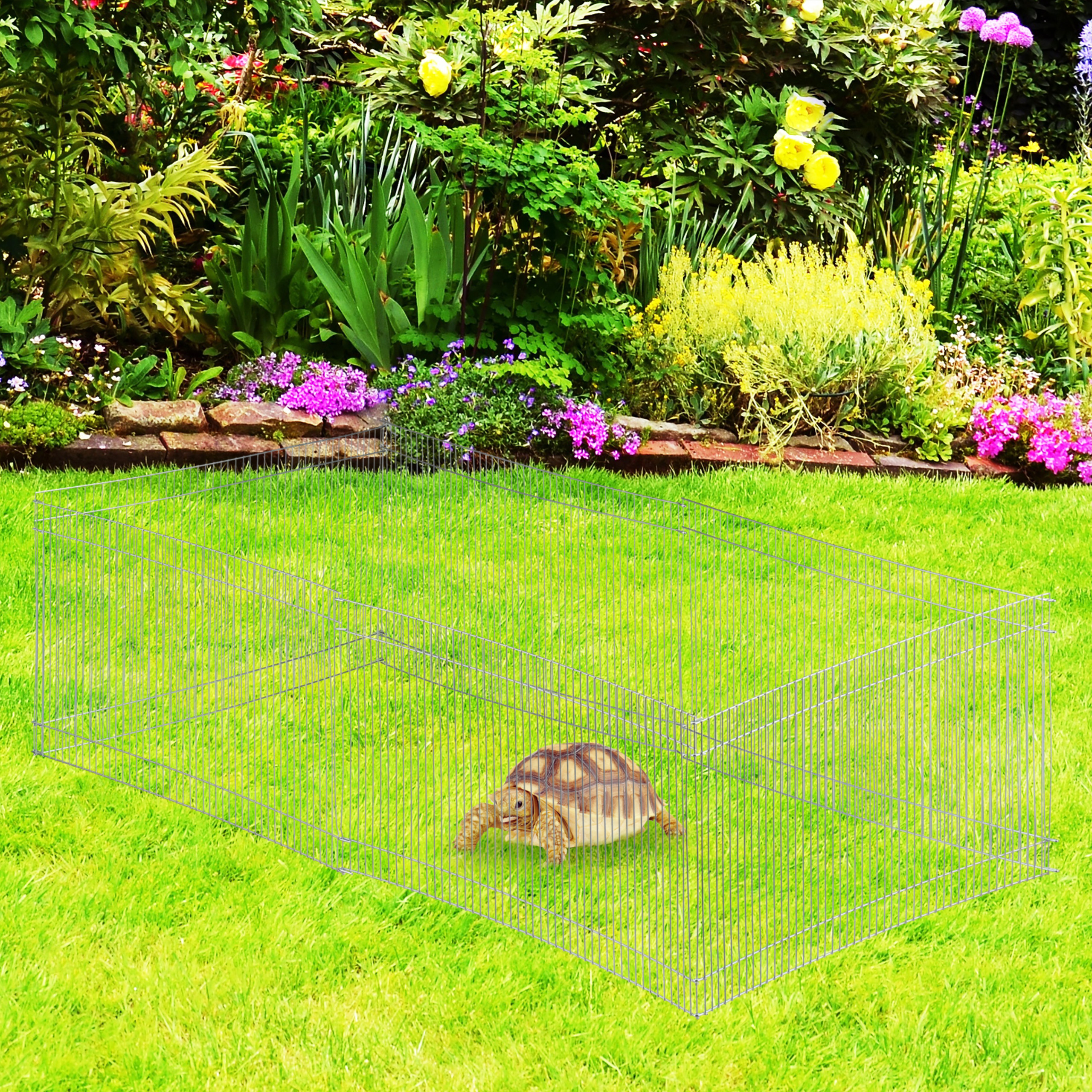 Eine Schildkröte im Gehege auf grünem Rasen vor einem bunten Blumenbeet.