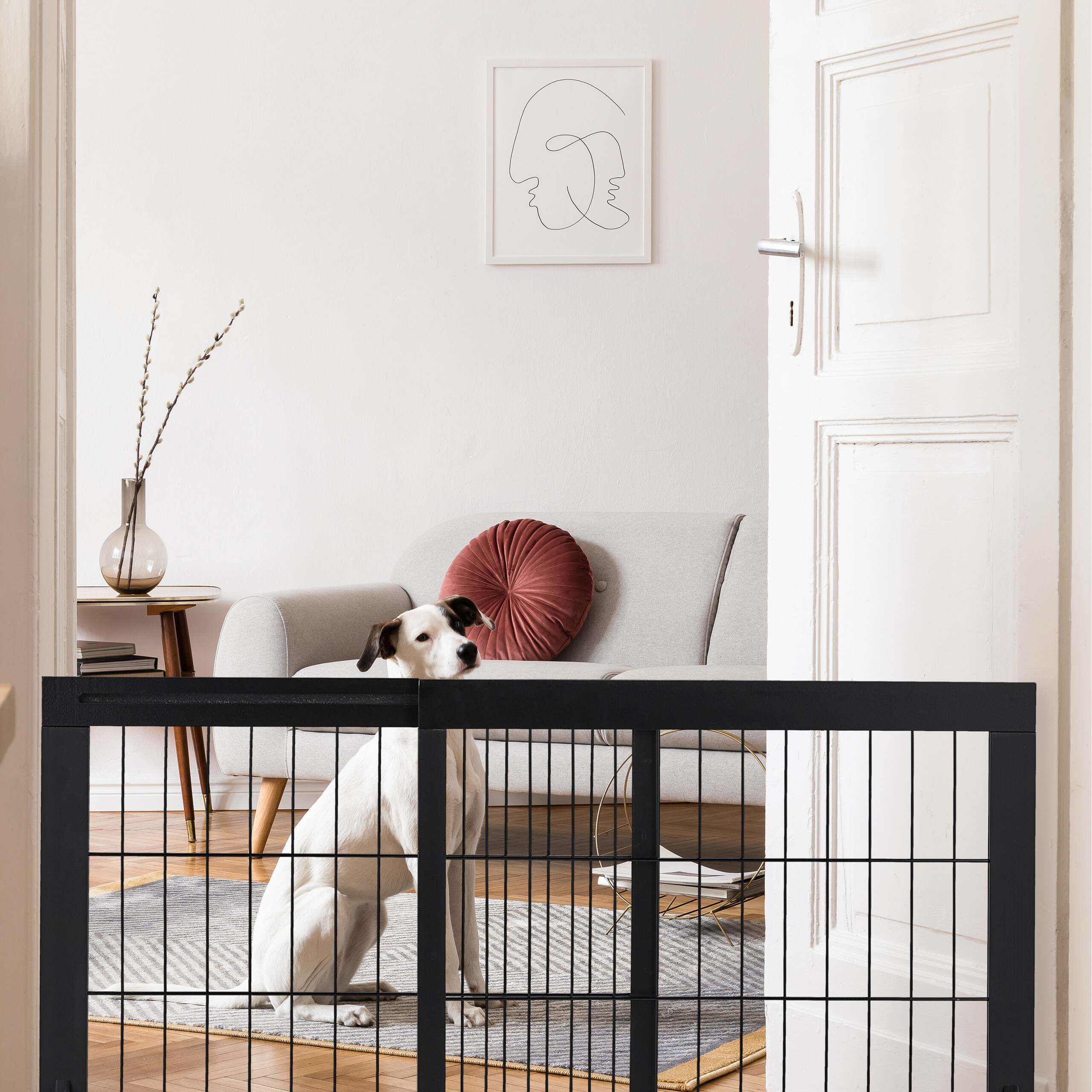 Ein weißer Hund sitzt hinter einem schwarzen Haustiergitter in einem hellen Raum mit grauem Sofa.