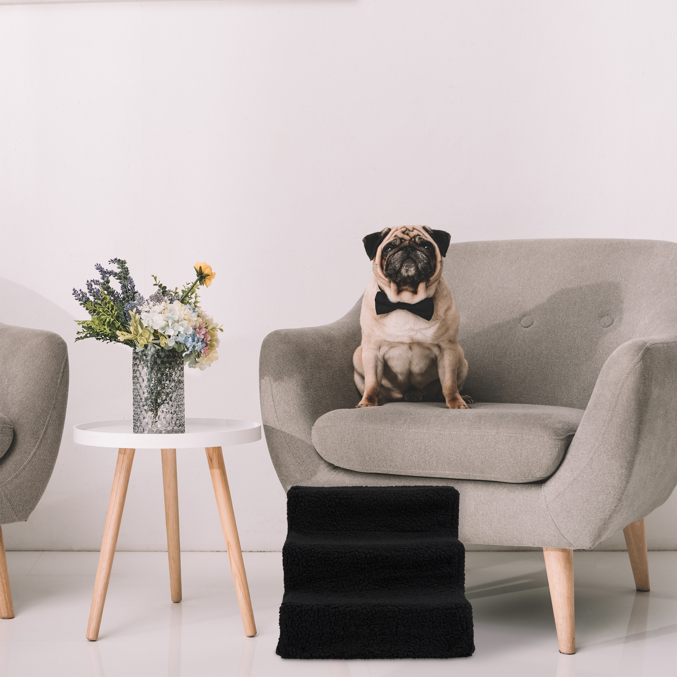 Ein Mops mit schwarzer Fliege sitzt auf einem grauen Sessel neben einem kleinen Tisch mit Blumen.