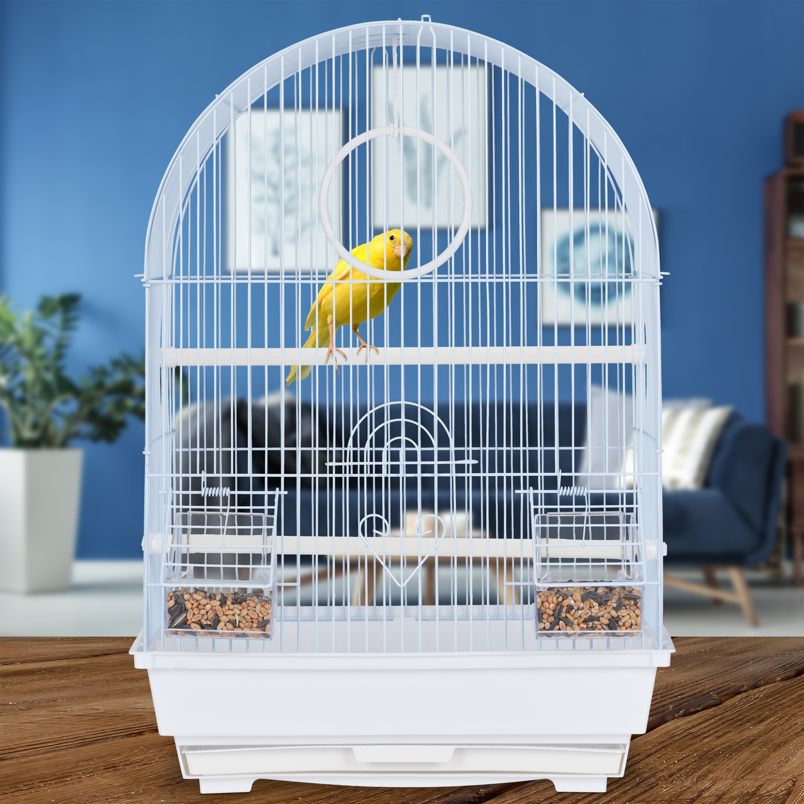 Ein gelber Kanarienvogel sitzt auf einer Stange in einem weißen Vogelkäfig vor einem blauen Hintergrund.