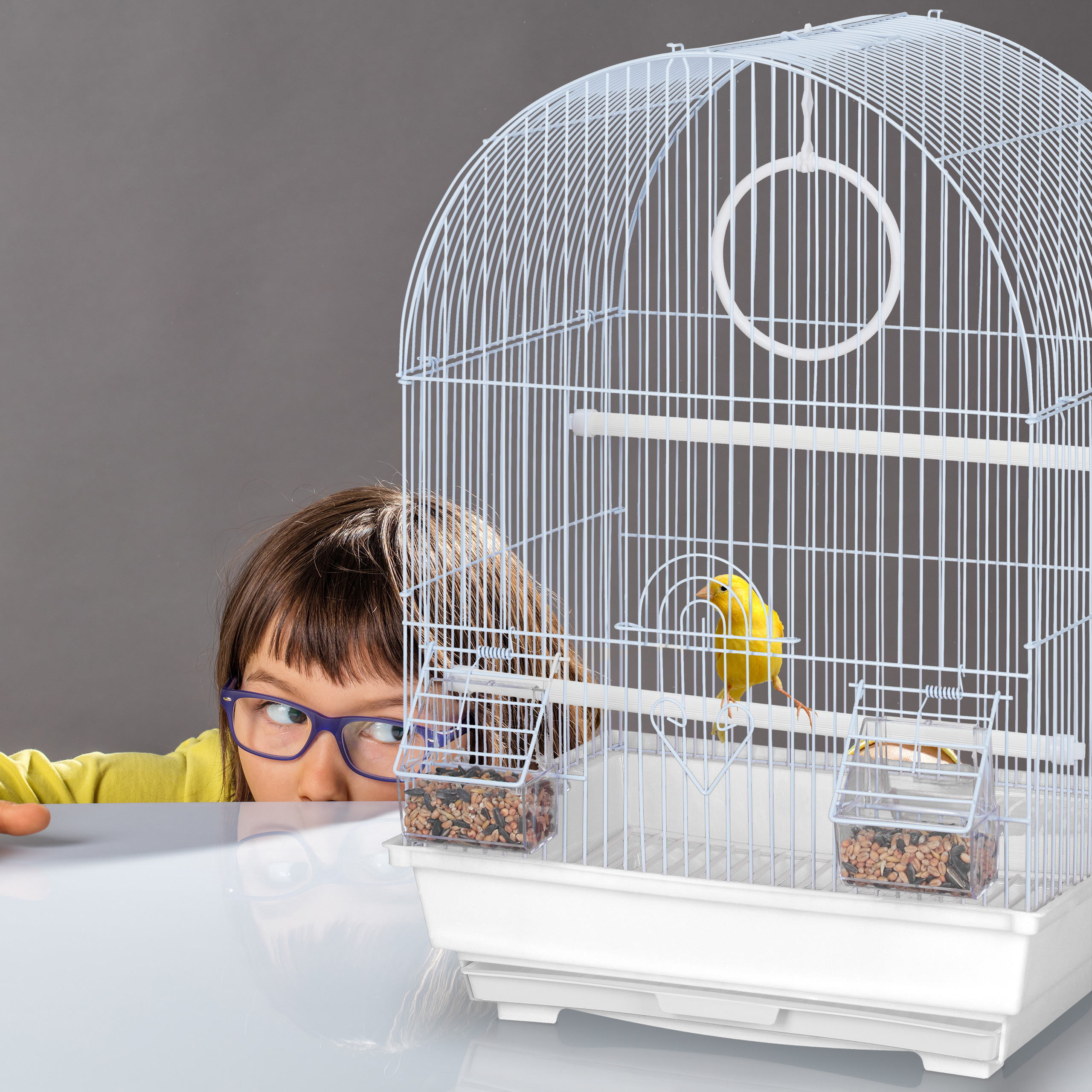 Ein Kind mit Brille schaut neugierig auf einen gelben Kanarienvogel in einem weißen Käfig.