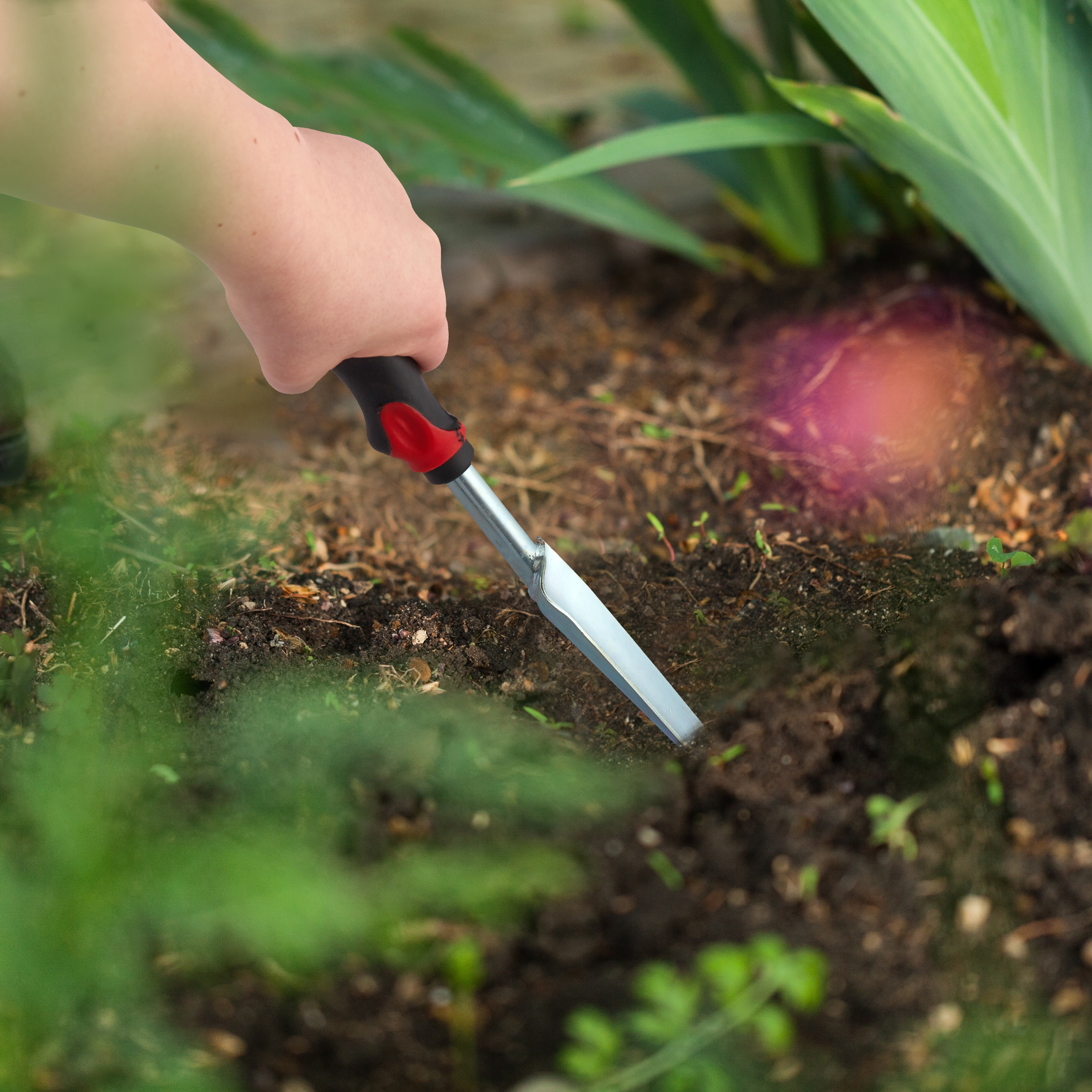 Eine Person gräbt mit einer Schaufel mit schwarz-rotem Griff in dunkler Gartenerde.