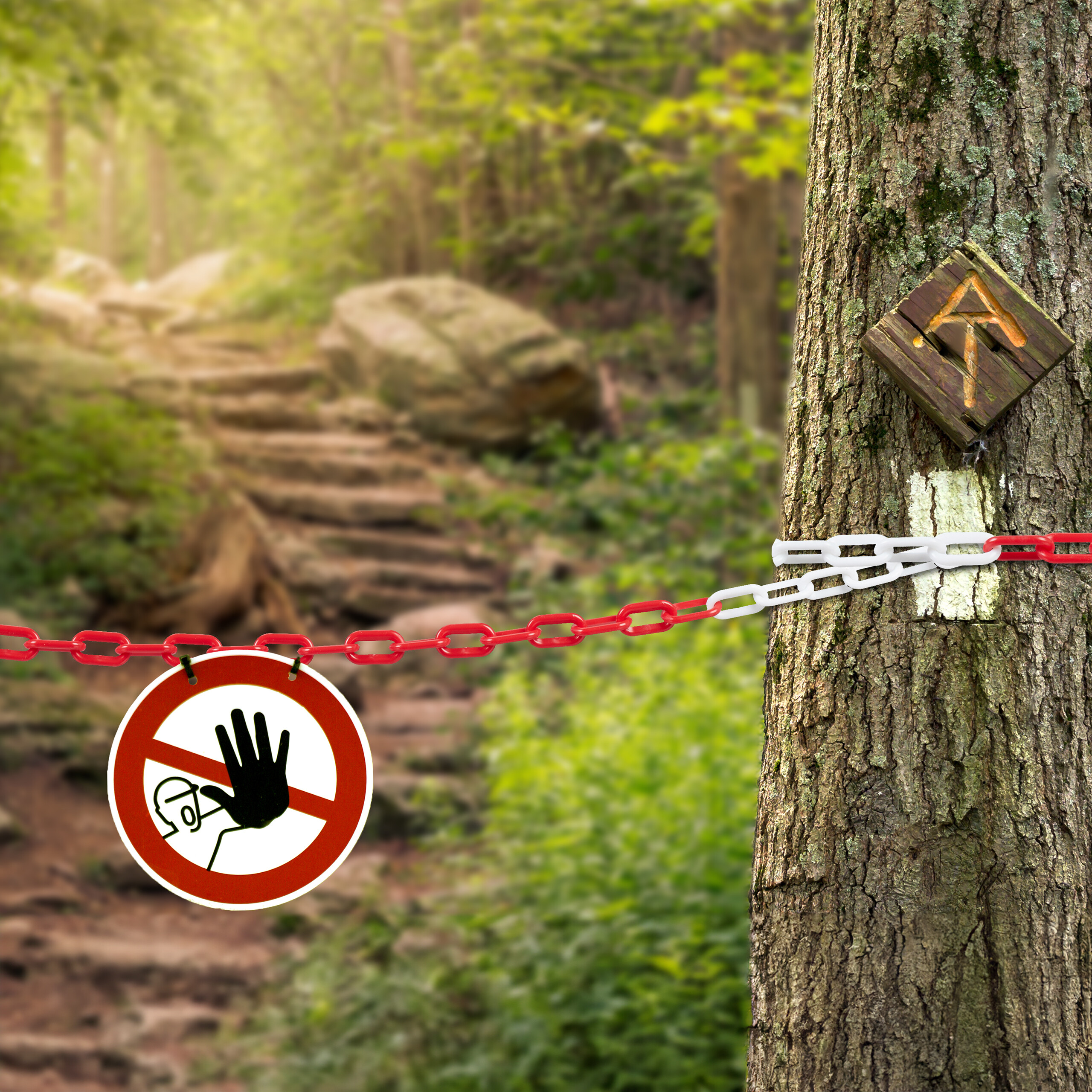 Rot-weiße Kette vor einem Waldweg mit einem Verbotsschild und einem Baummakierer.
