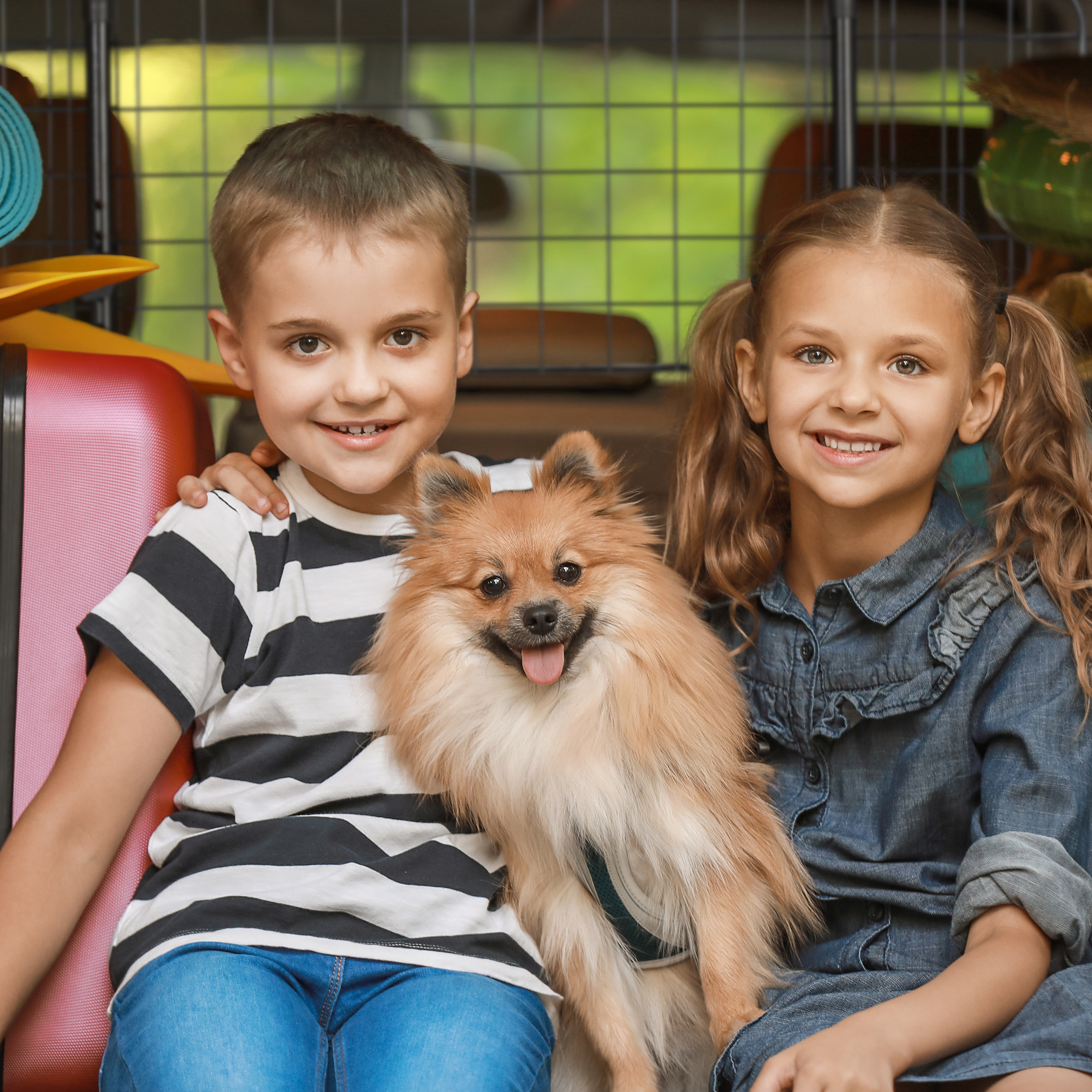 Ein Junge und ein Mädchen sitzen im Kofferraum eines Autos und halten einen kleinen flauschigen Hund zwischen sich.