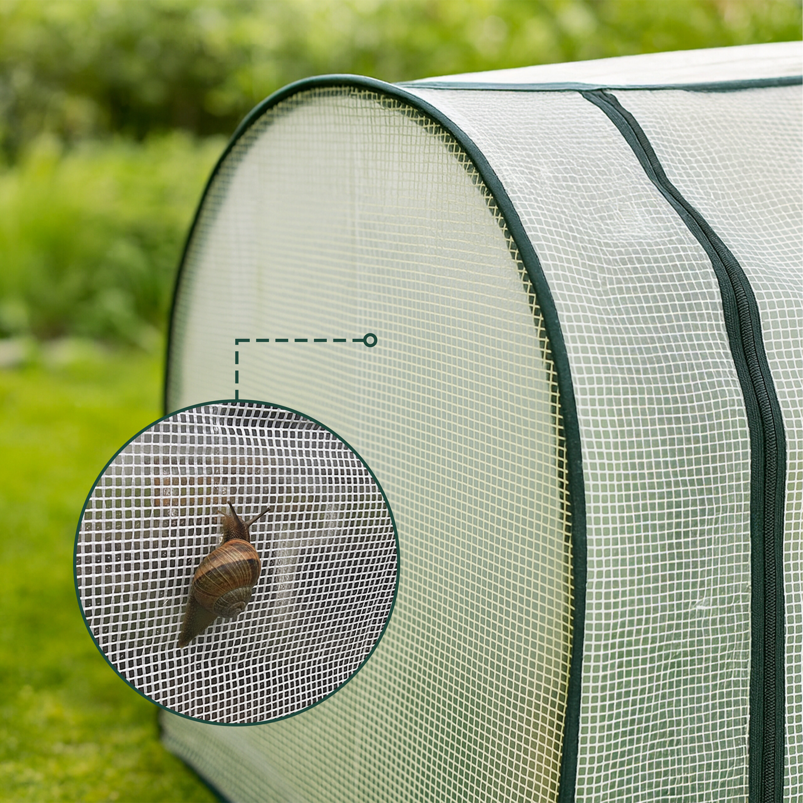 Eine Schnecke kriecht auf dem feinen Netz eines Folientunnels im Garten.