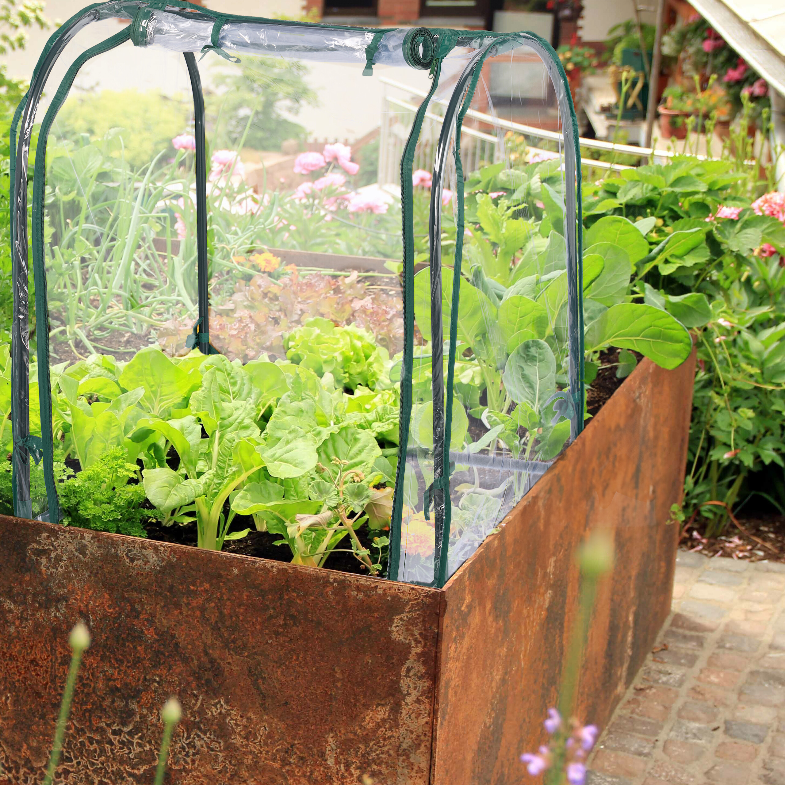 Ein rostiges Hochbeet im Garten mit grünen Gemüsepflanzen und einer durchsichtigen Schutzhülle.