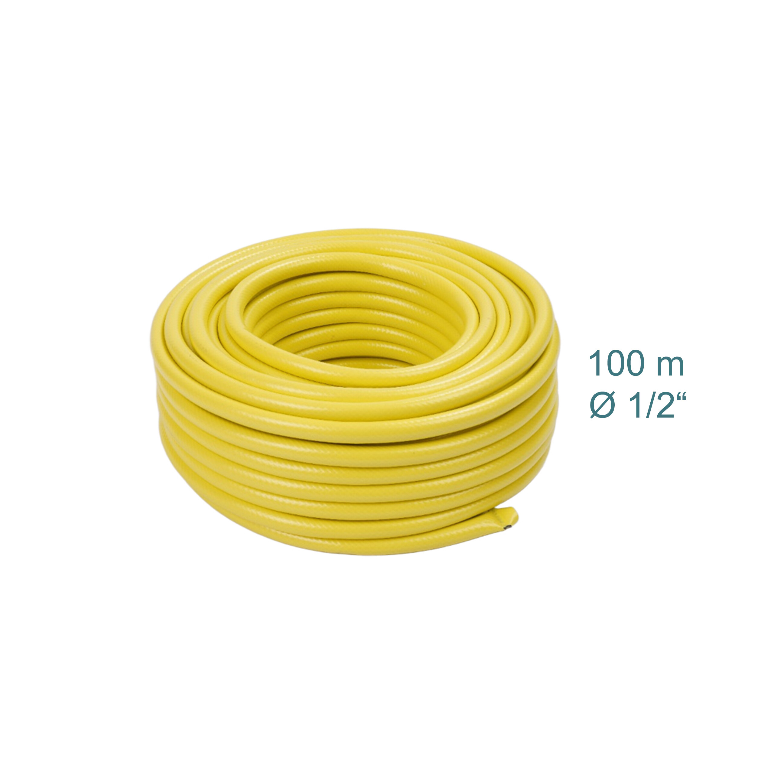 Eine Rolle gelber Gartenschlauch, 100 Meter lang und 1/2 Zoll Durchmesser, isoliert auf weißem Hintergrund.