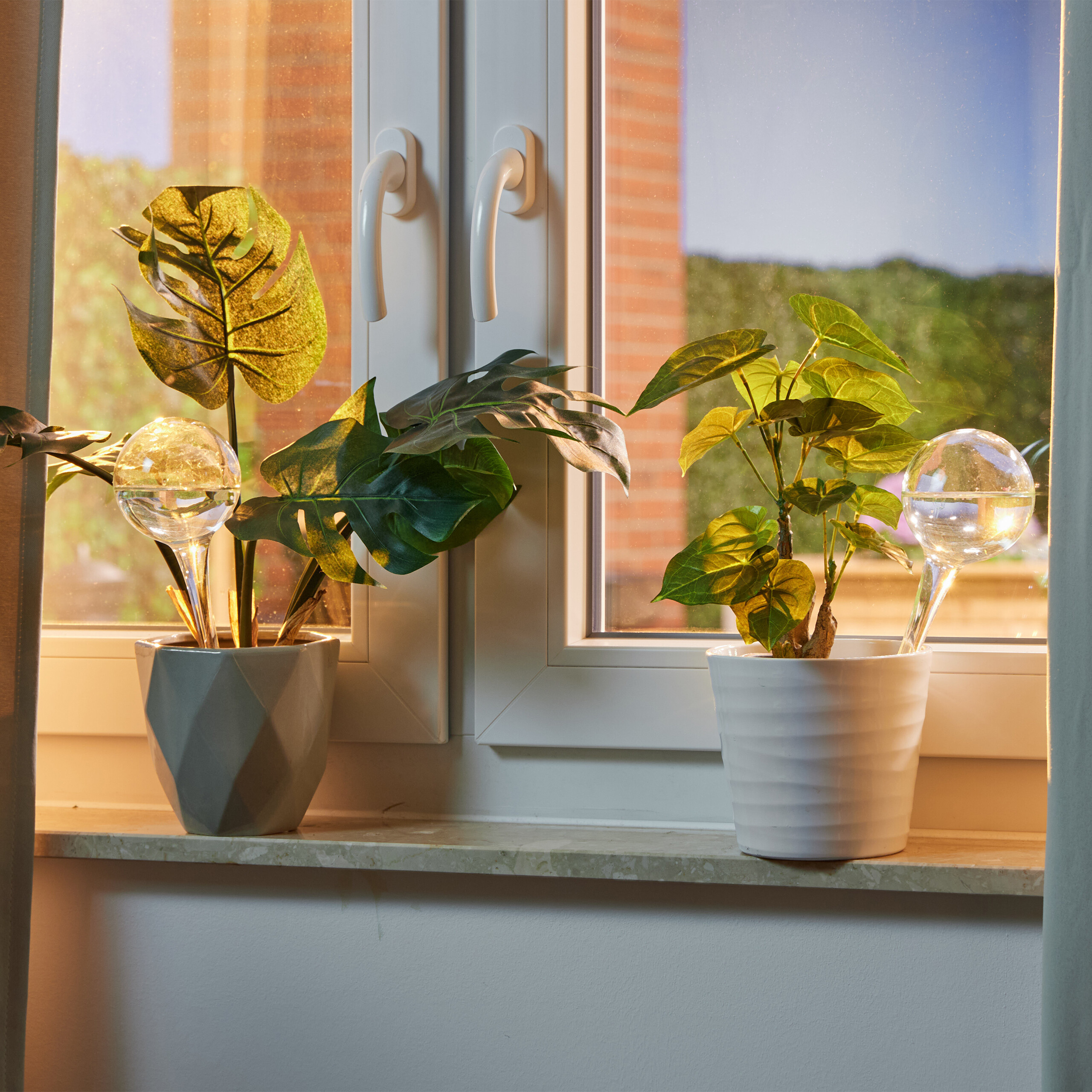 Zwei Zimmerpflanzen mit gläsernen Bewässerungskugeln stehen auf einer Fensterbank vor einem weißen Fenster.