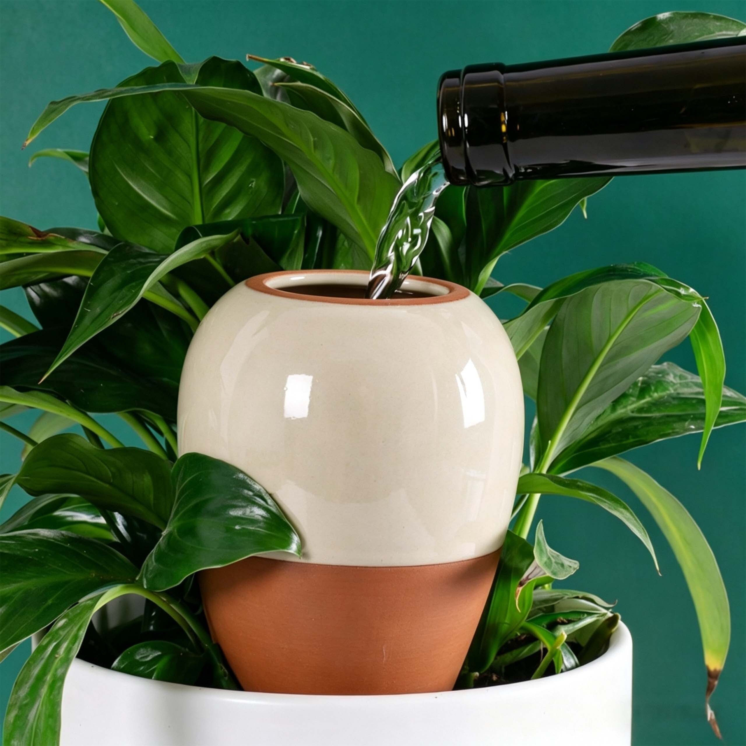 Eine Flasche gießt Wasser in einen beige-braunen Tontopf vor grünen Pflanzen.